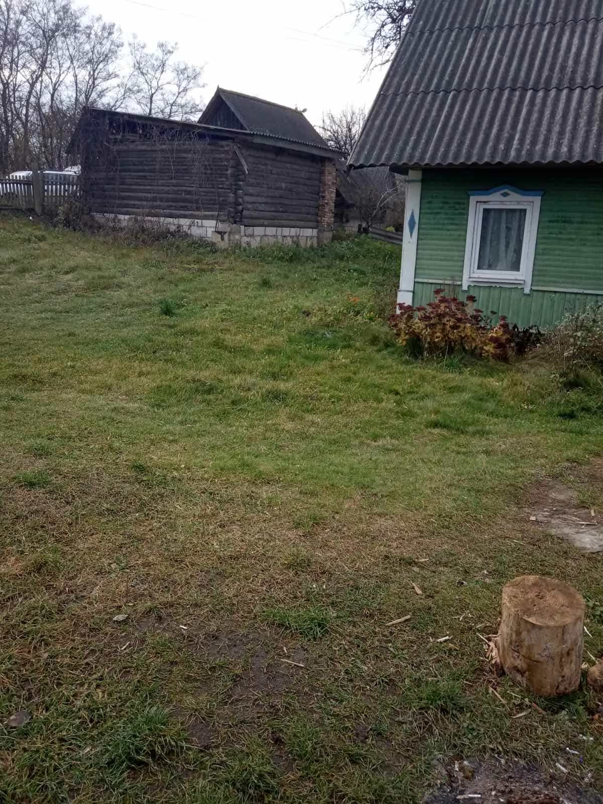 Беларусь, Брестская область, Пружанский район, Ружанский сельсовет, агрогородок Ворониловичи, улица Урбановича, 59, фото 14