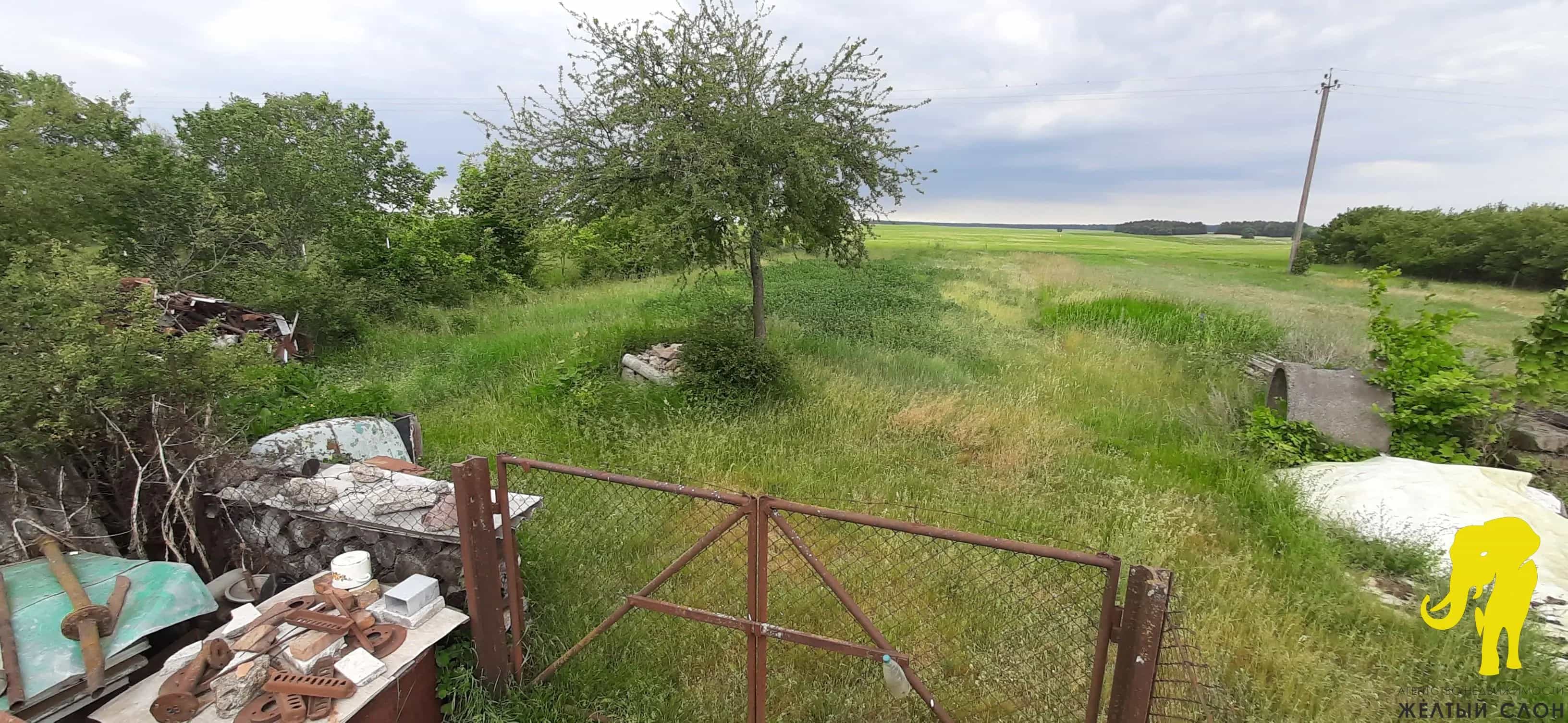 Беларусь, Брестская область, Каменецкий район, Видомлянский сельсовет, деревня Завершаны, 27, фото 17