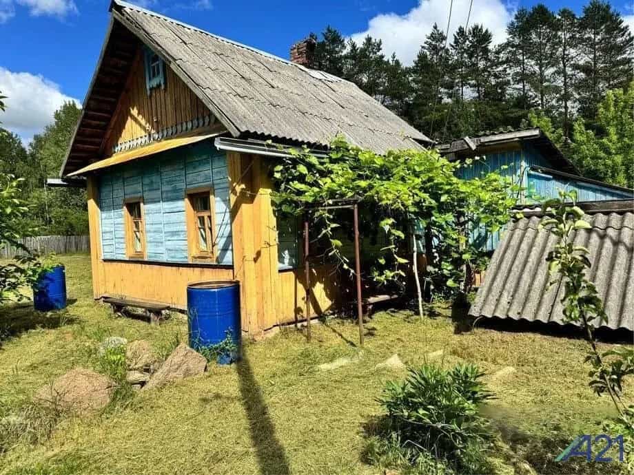 Беларусь, Могилёвская область, Бобруйский район, Брожский сельсовет, посёлок Брожа, Станционная улица, 9