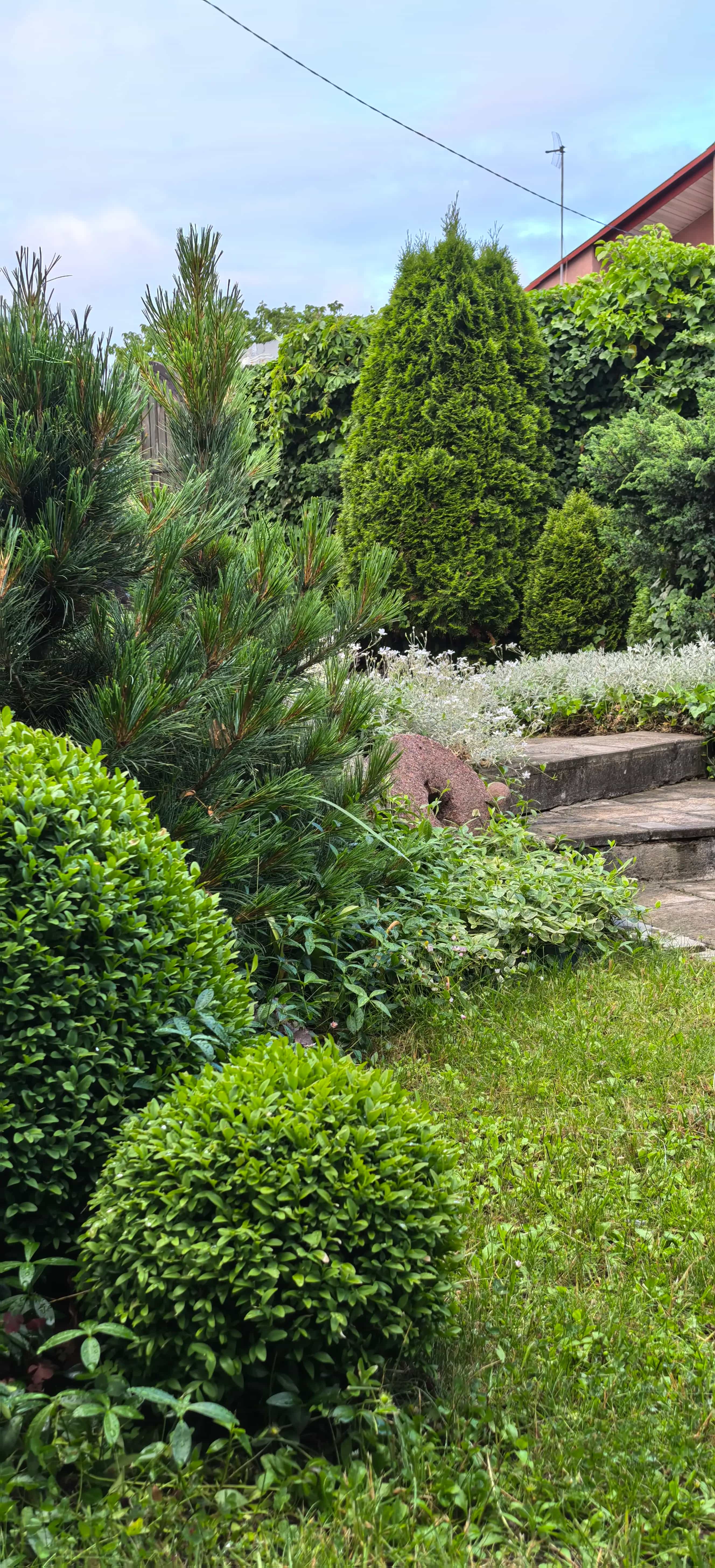 Беларусь, Гродно, Дальняя улица, 33, фото 12