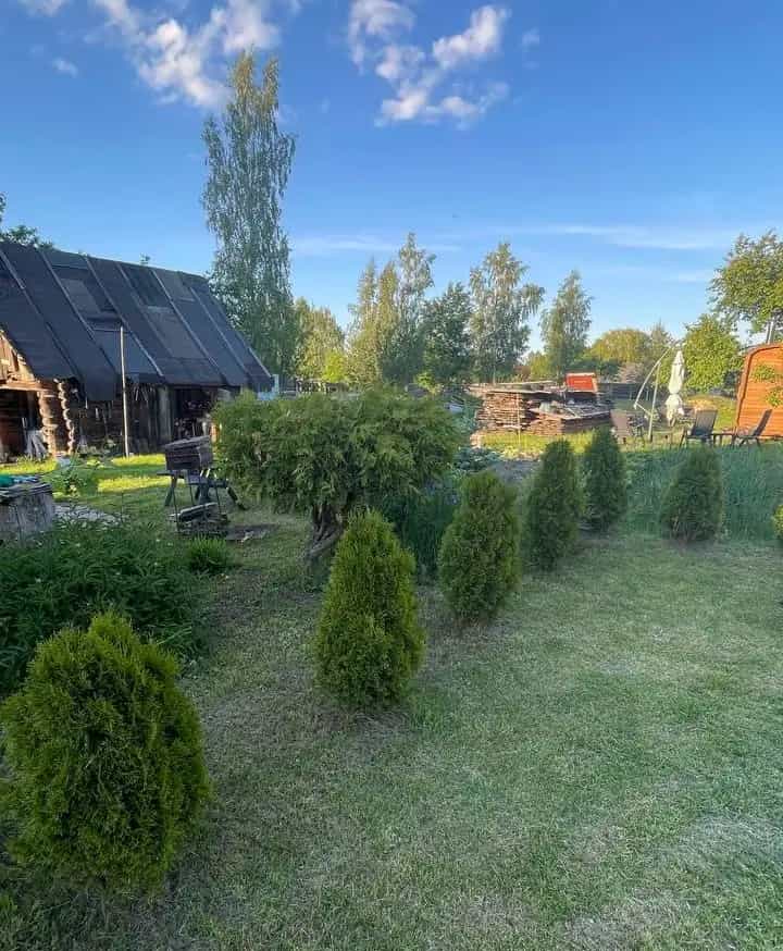 Беларусь, Могилёвская область, Осиповичский район, Вязьевский сельсовет, деревня Теплухи, Пролетарская улица, 29, фото 16
