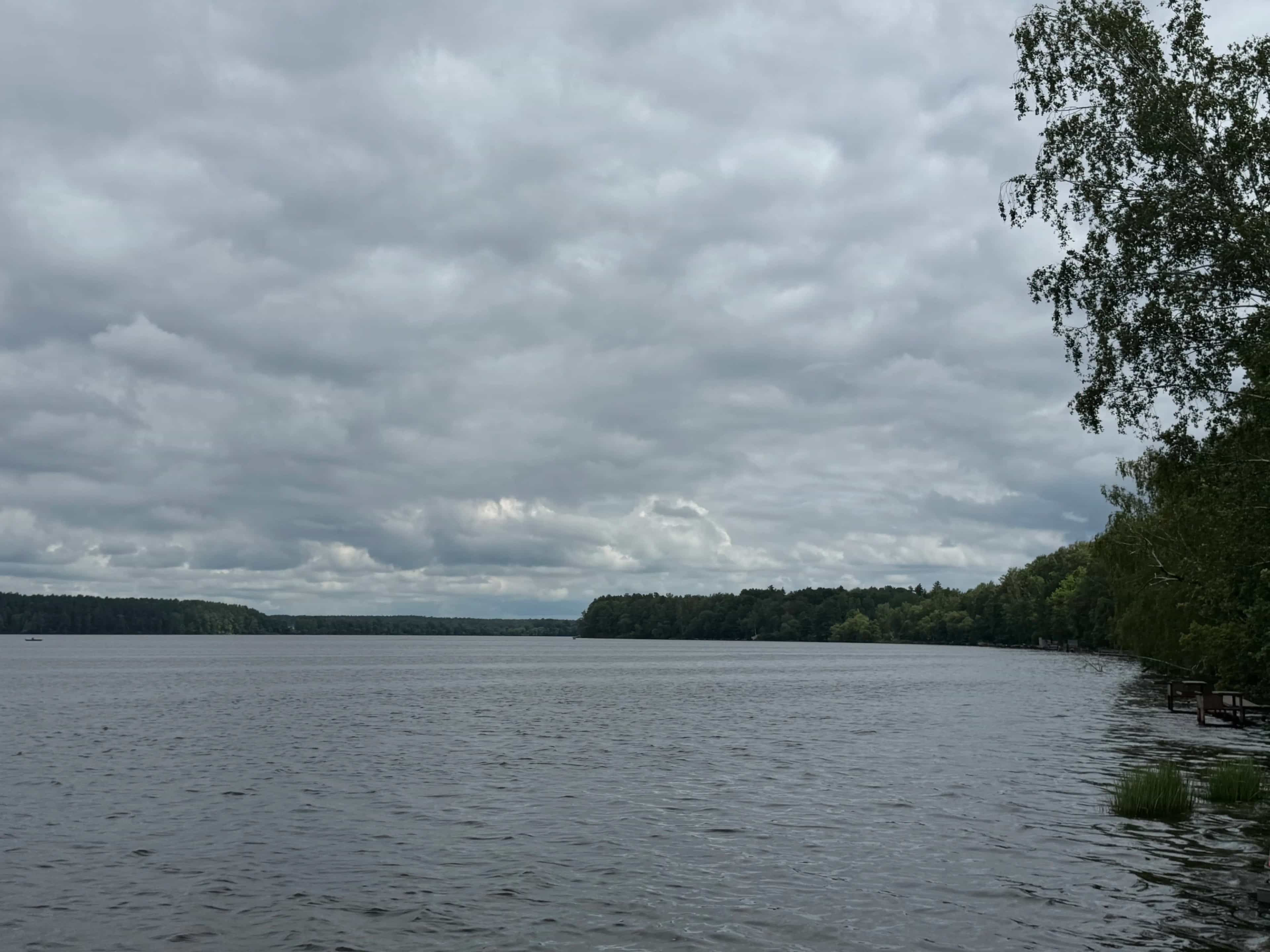 Беларусь, Могилёвская область, Осиповичский район, Вязьевский сельсовет, деревня Теплухи, Пролетарская улица, 29, фото 26