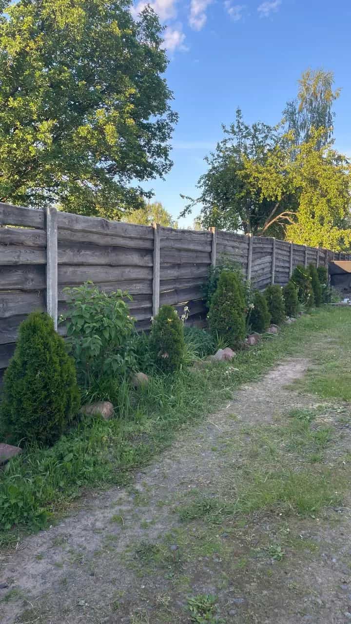 Беларусь, Могилёвская область, Осиповичский район, Вязьевский сельсовет, деревня Теплухи, Пролетарская улица, 29, фото 29