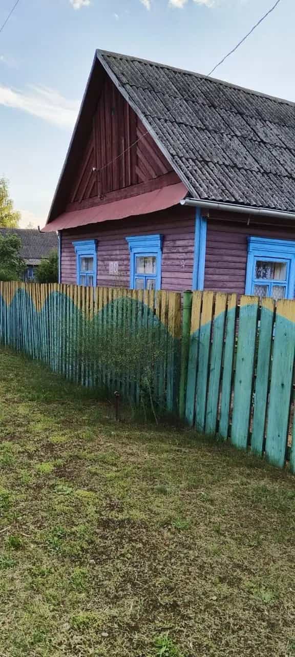 Беларусь, Брестская область, Пинский район, Лопатинский сельсовет, деревня Лемешевичи, Колхозная улица, 20