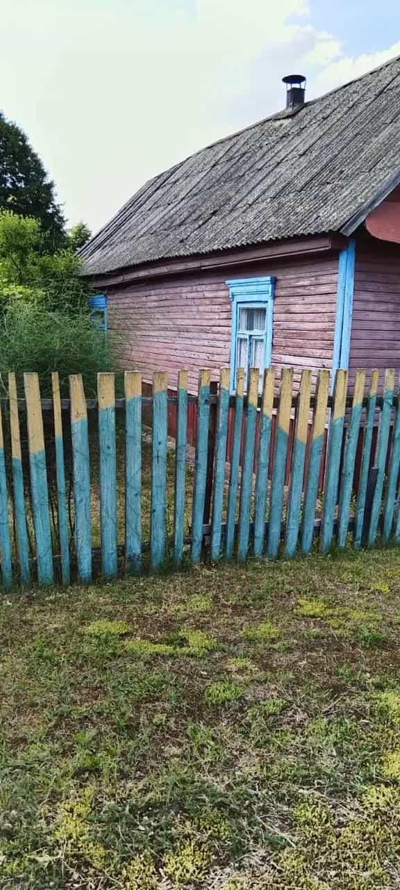 Беларусь, Брестская область, Пинский район, Лопатинский сельсовет, деревня Лемешевичи, Колхозная улица, 20, фото 15