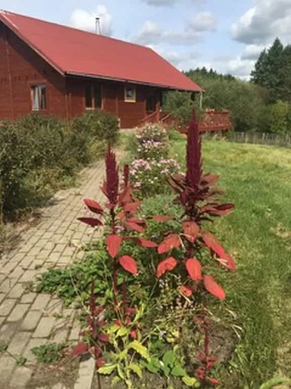 Беларусь, Минская область, Столбцовский район, Шашковский сельсовет, деревня Жуков Борок, Центральная улица, 63, фото 2