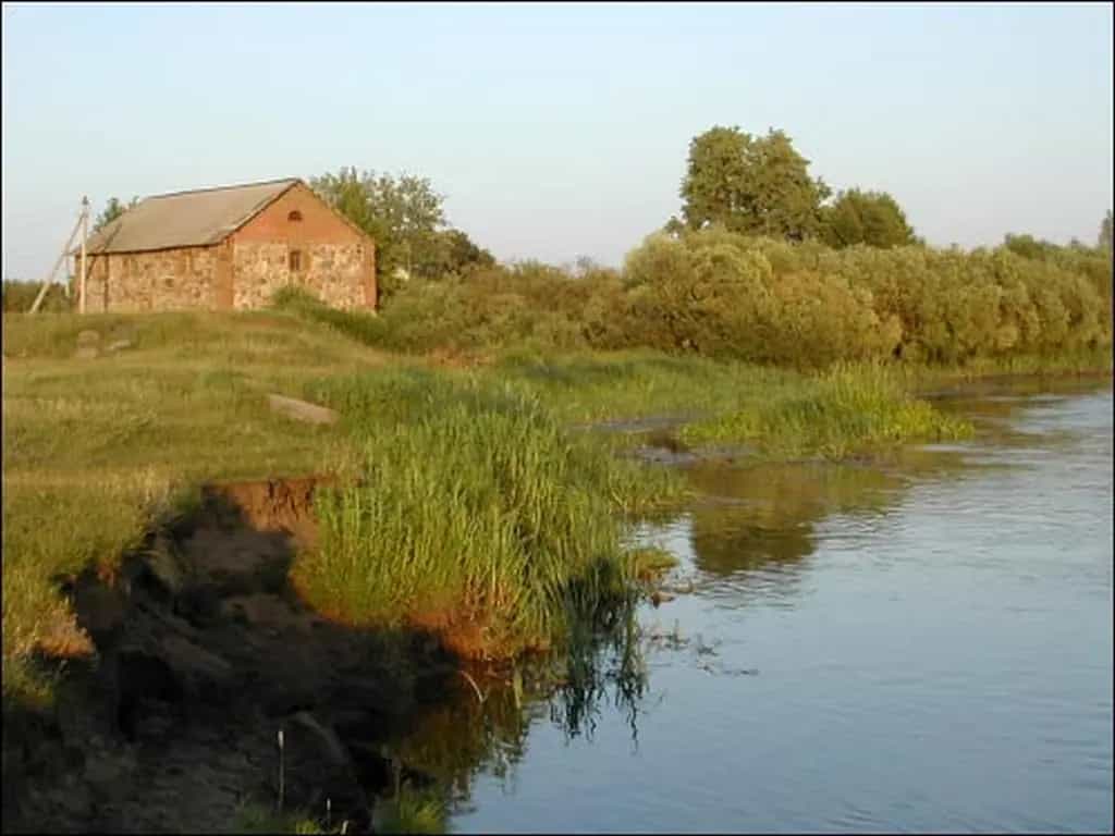 Беларусь, Минская область, Столбцовский район, Шашковский сельсовет, деревня Жуков Борок, Центральная улица, 63, фото 10