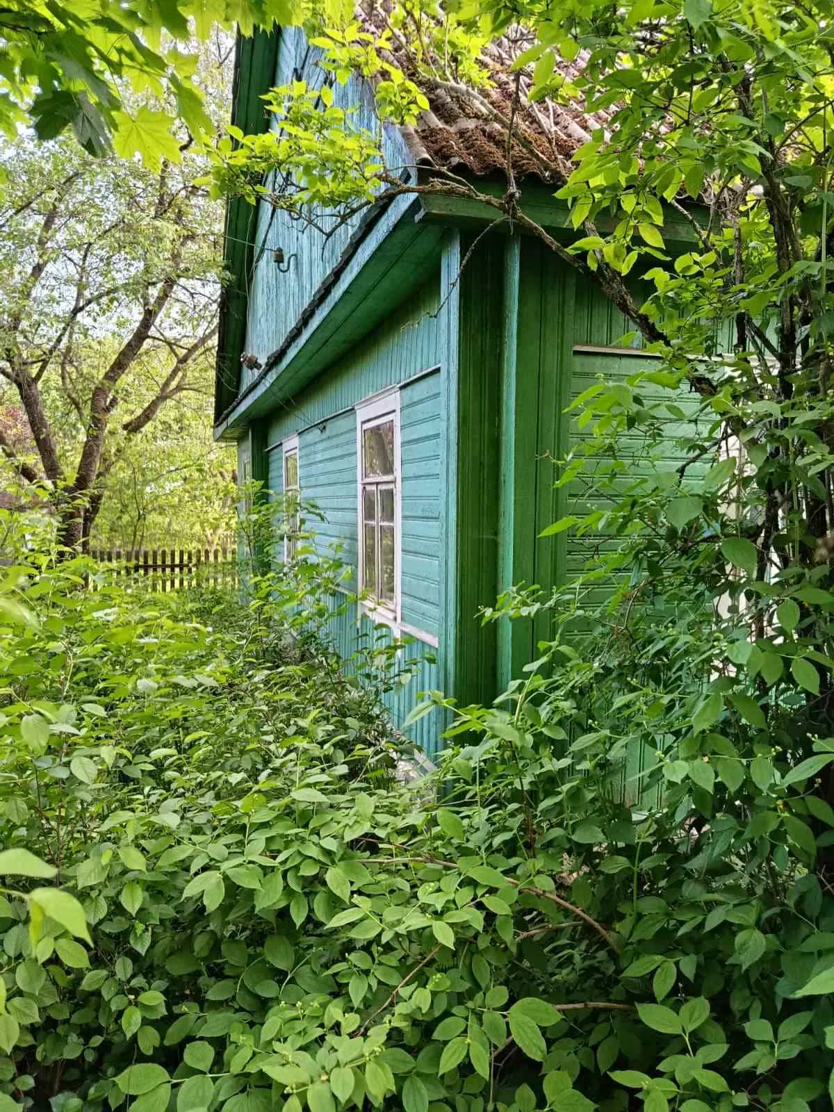 Беларусь, Гродненская область, Сморгонский район, Кревский сельсовет, деревня Попелевичи, 21, фото 4