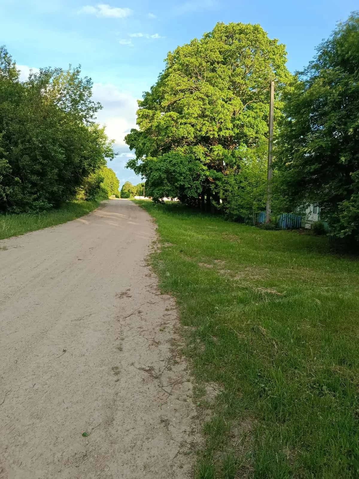 Беларусь, Гродненская область, Сморгонский район, Кревский сельсовет, деревня Попелевичи, 21, фото 14