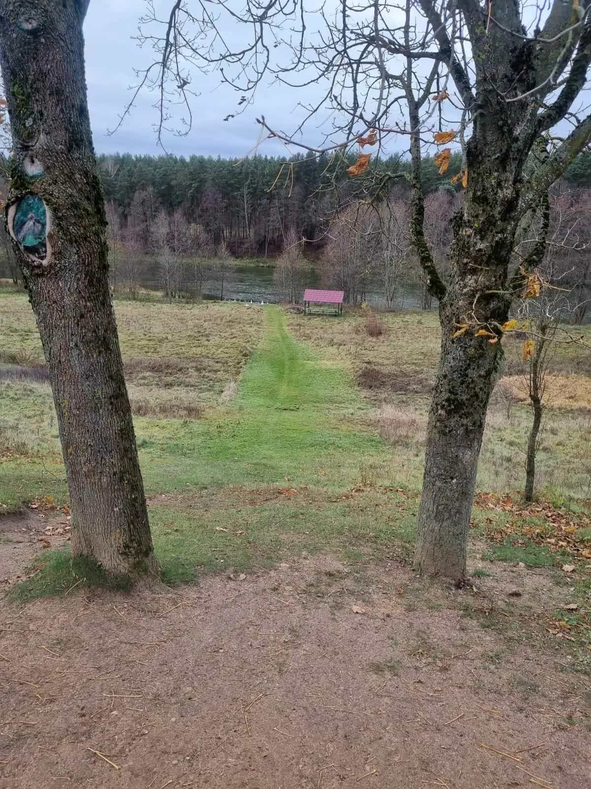 Беларусь, Гродненская область, Сморгонский район, агрогородок Жодишки, Комсомольская улица, 51, фото 16