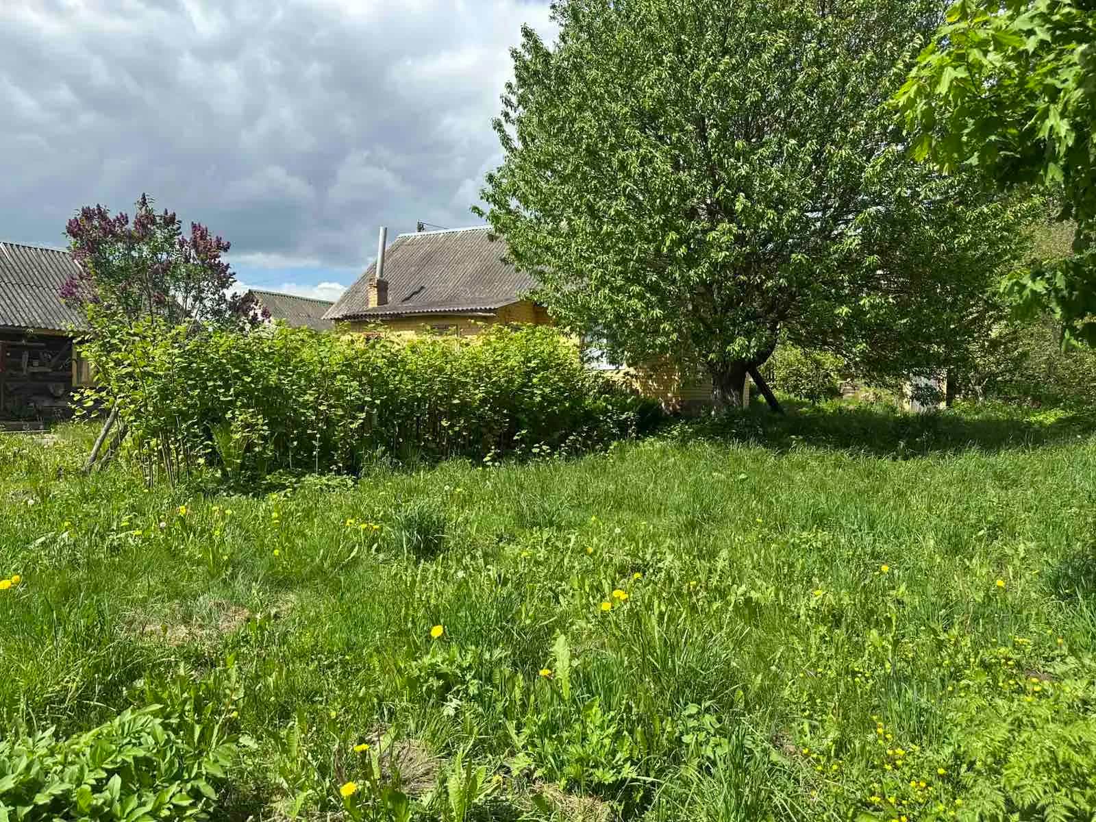 Беларусь, Гродненская область, Сморгонский район, Синьковский сельсовет, деревня Цари, 15А, фото 5