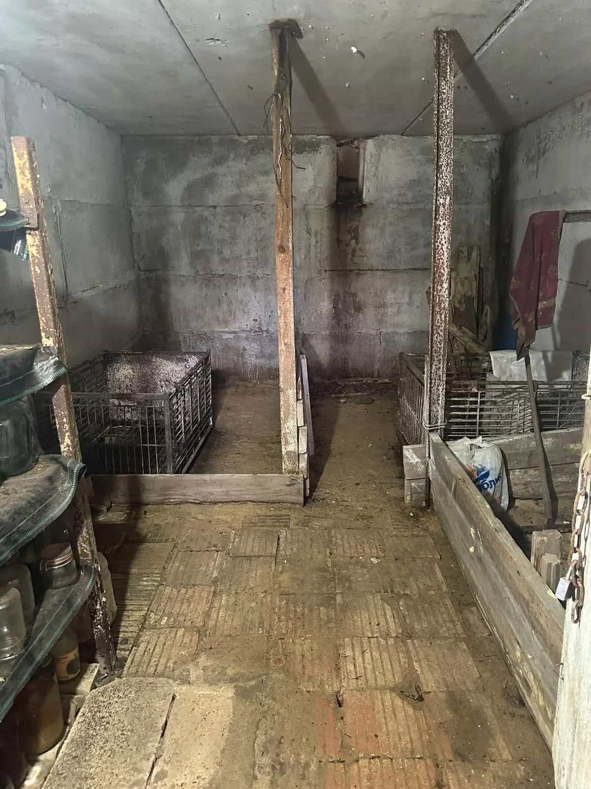 Беларусь, Гродненская область, Сморгонский район, Синьковский сельсовет, деревня Цари, 15А, фото 15