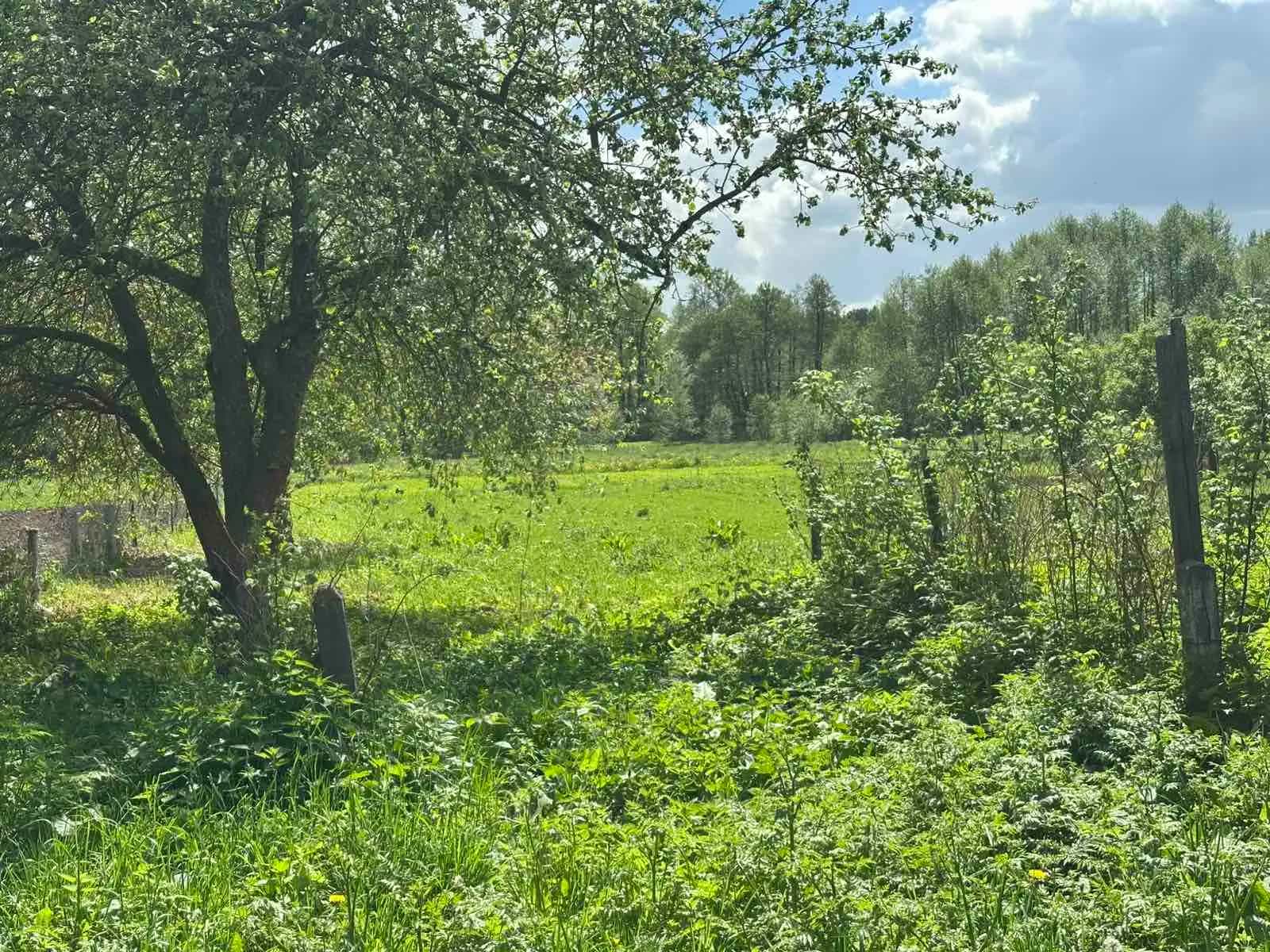 Беларусь, Гродненская область, Сморгонский район, Синьковский сельсовет, деревня Цари, 15А, фото 16