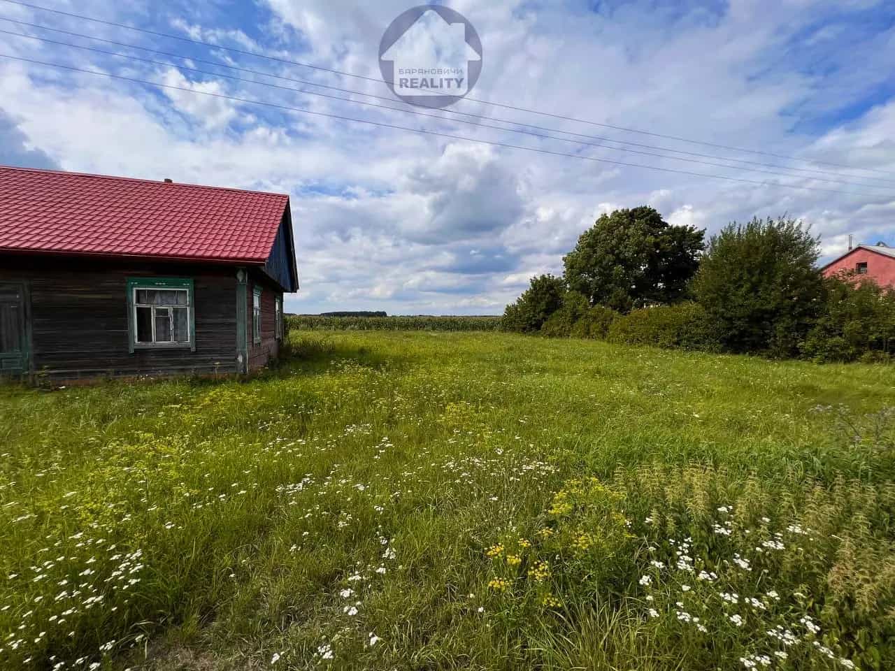 Беларусь, Брестская область, Барановичский район, Городищенский сельсовет, деревня Станкевичи, 31, фото 3