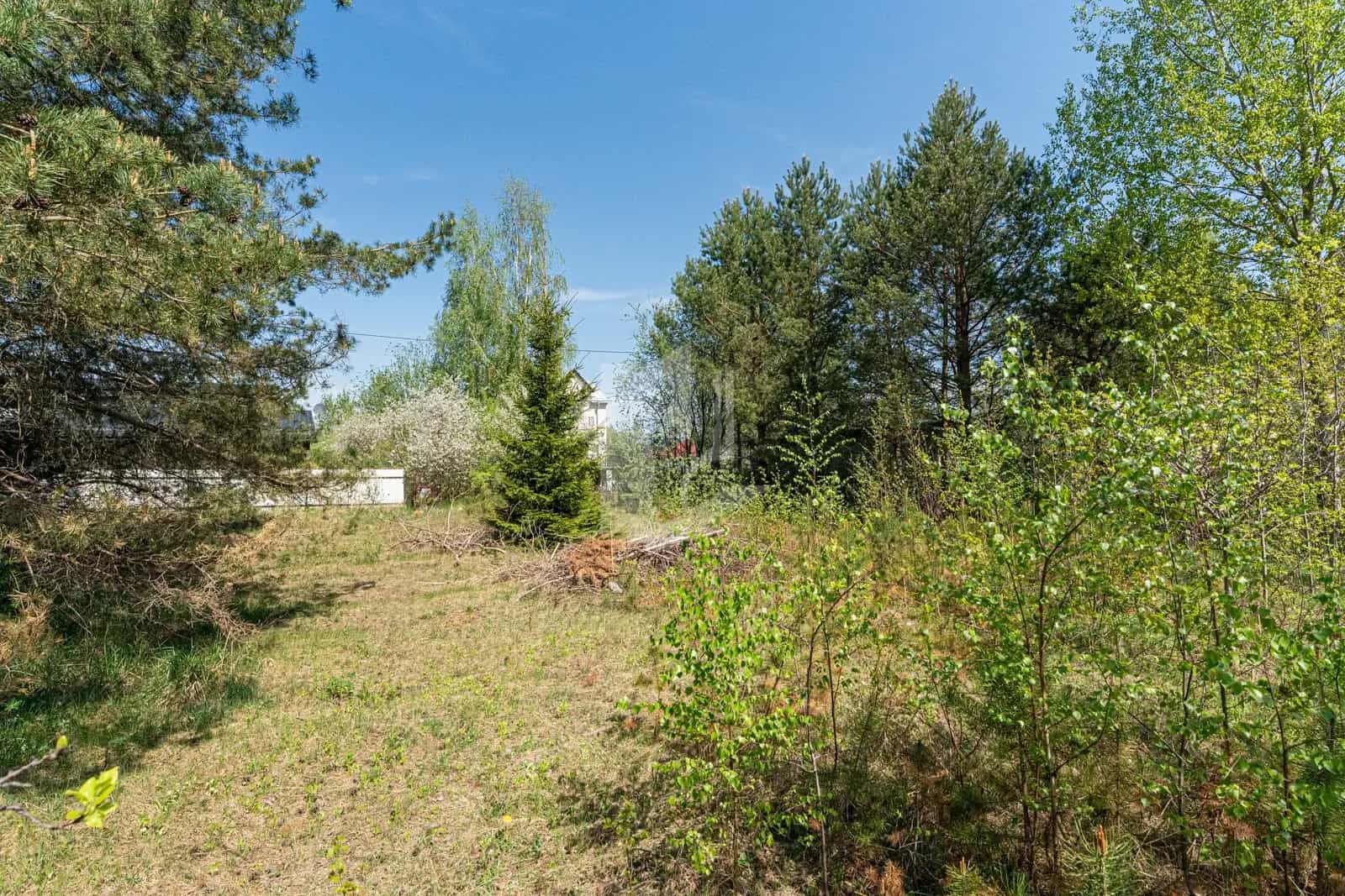 Беларусь, Минский район, агрогородок Колодищи, Ларионовская улица, 19, фото 10