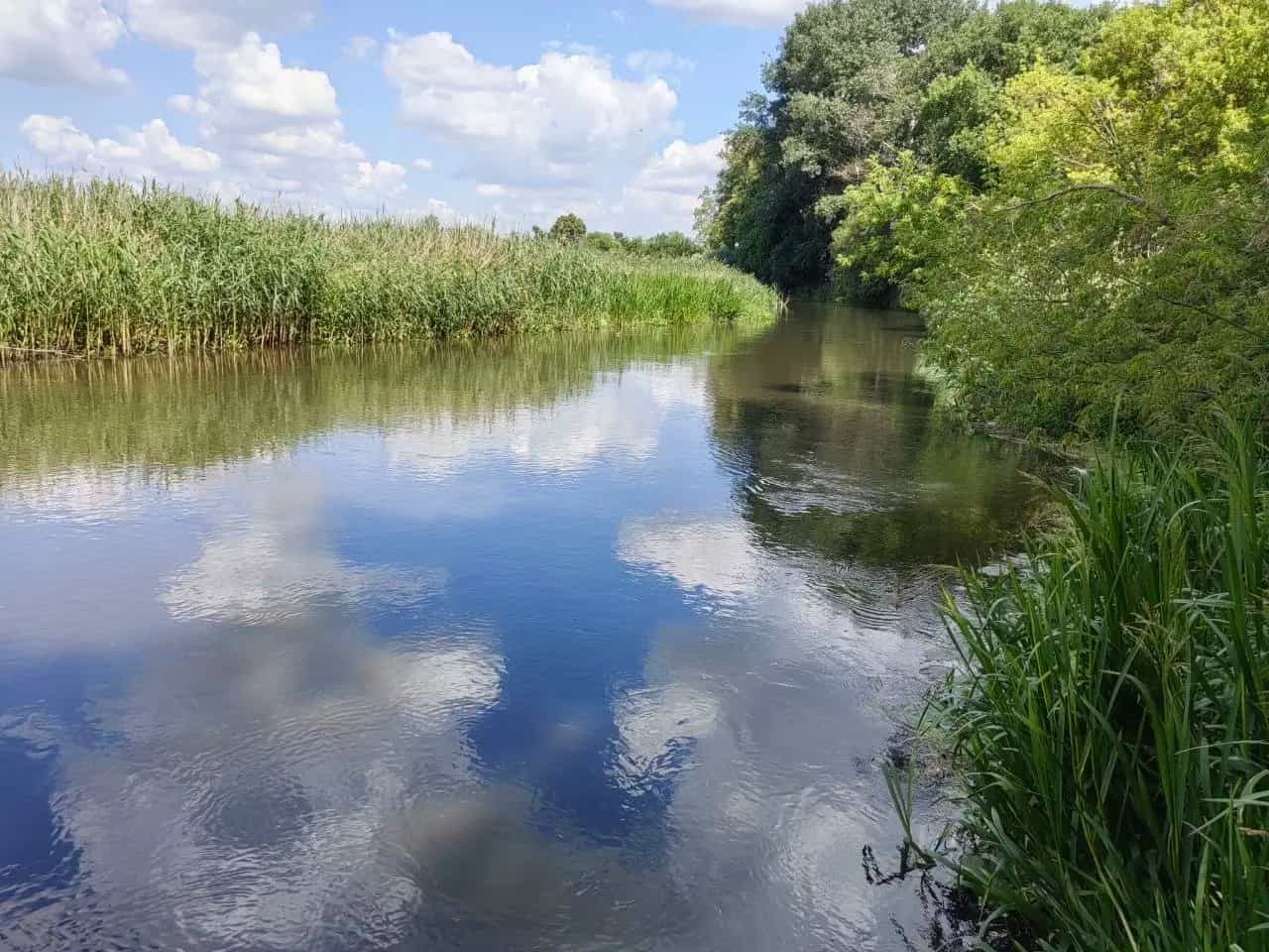 Беларусь, Гродненская область, Берестовицкий район, Эйсмонтовский сельсовет, деревня Ярмоличи, 43А