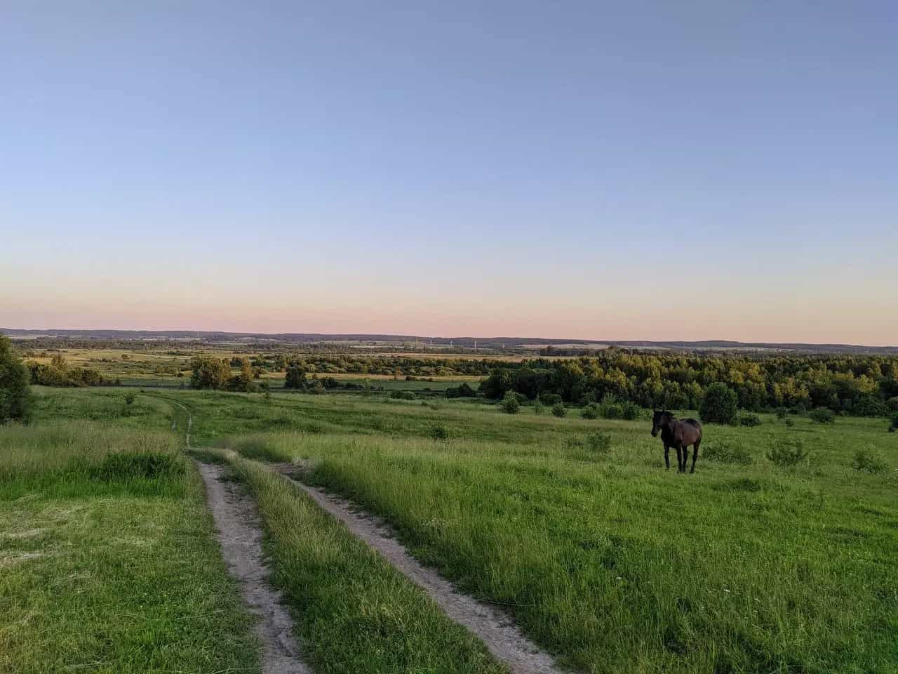 Беларусь, Минская область, Воложинский район, Городьковский сельсовет, деревня Ганьковичи, 12, фото 11