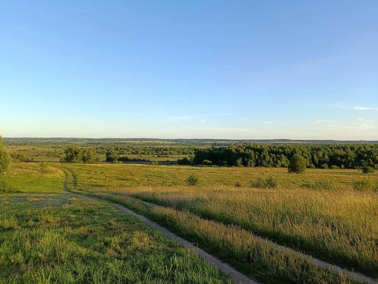 Беларусь, Минская область, Воложинский район, Городьковский сельсовет, деревня Ганьковичи, 12, фото 12