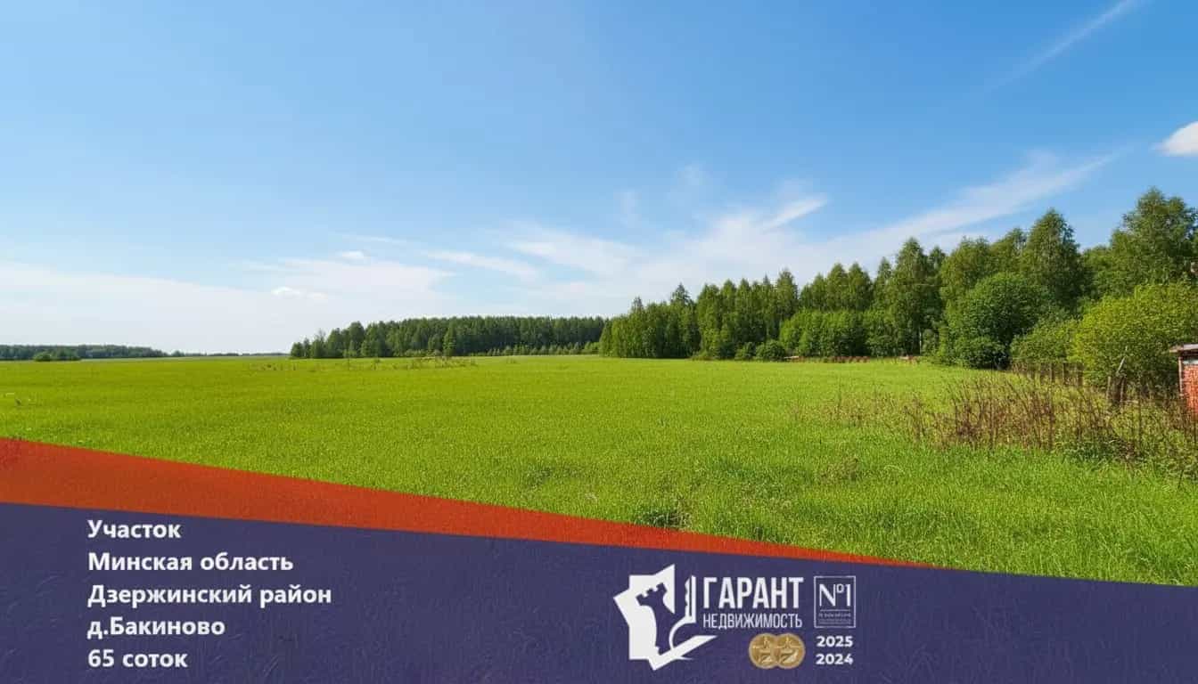 Беларусь, Минская область, Дзержинский район, Боровской сельсовет, деревня Бакиново, Центральная улица, 38