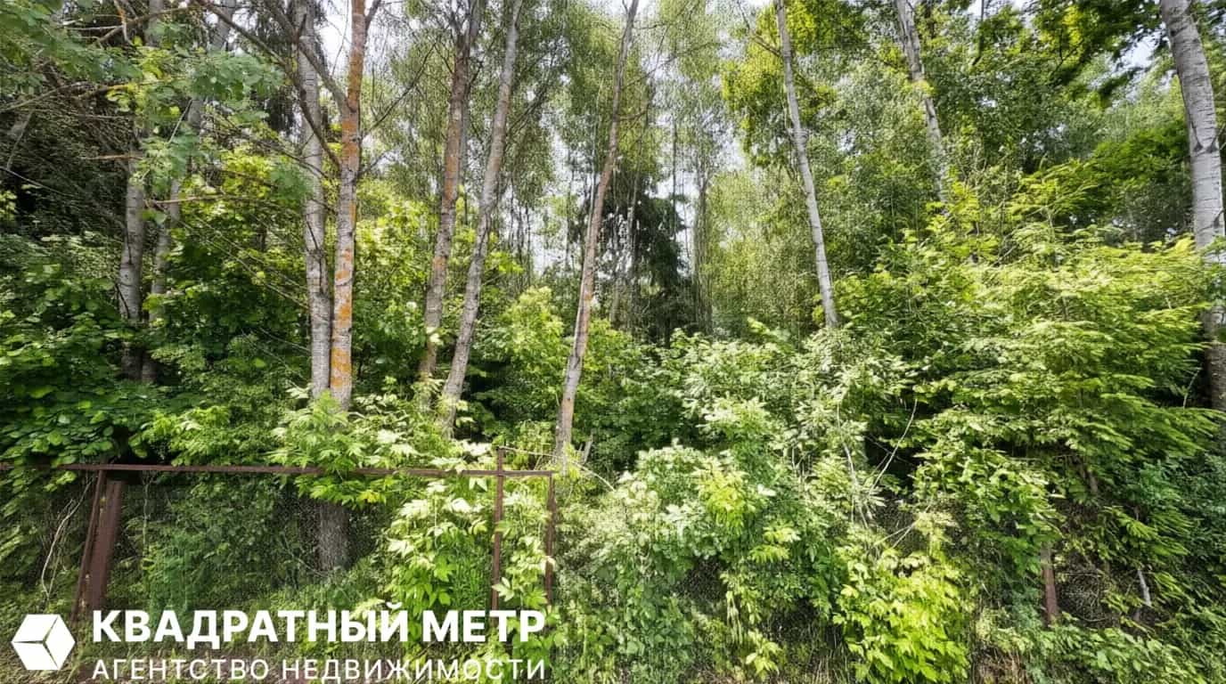 Беларусь, Минский район, Колодищанский сельсовет, СТ Малинка, 200, фото 11