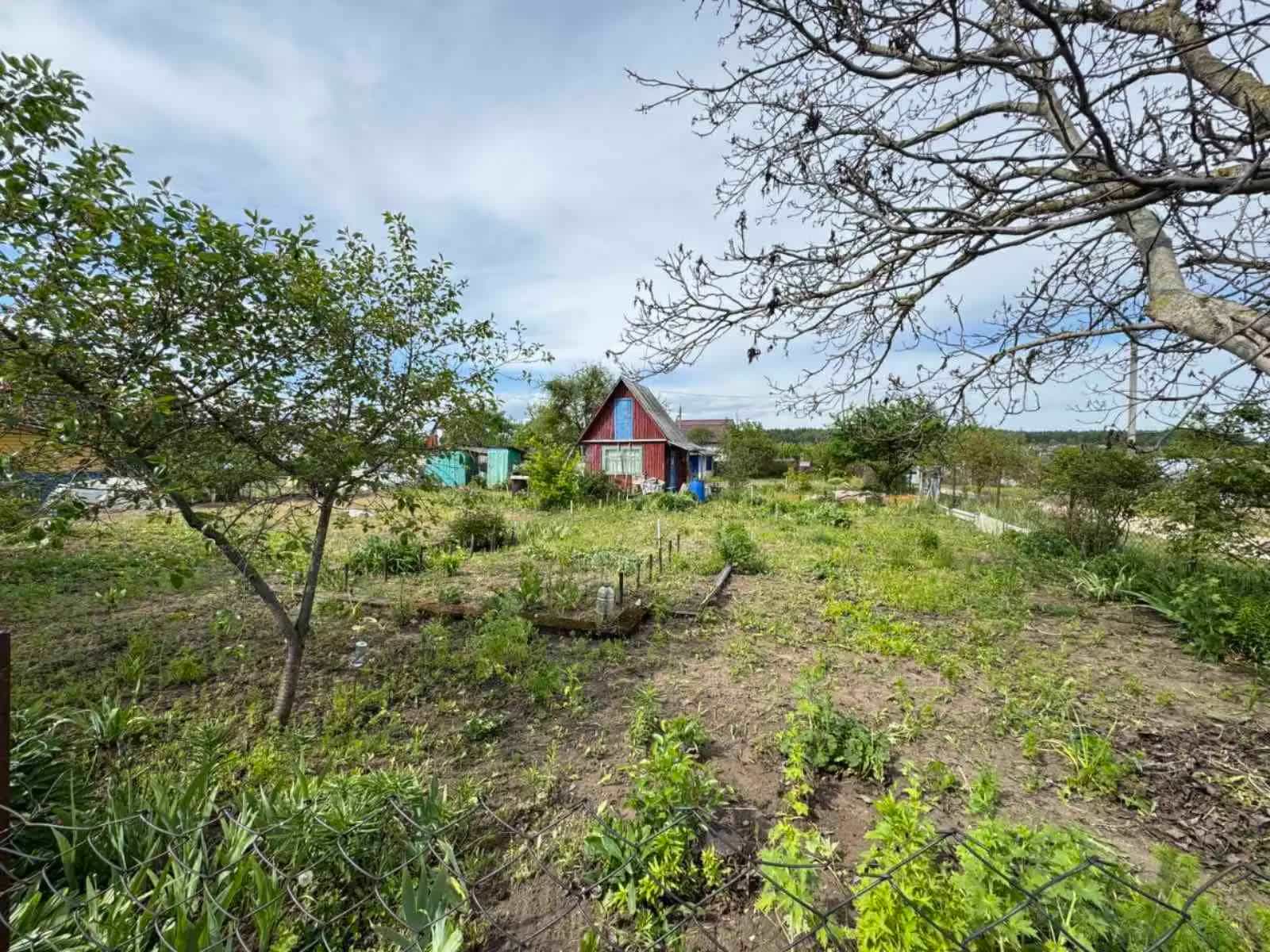 Беларусь, Гродненский район, Коптёвский сельсовет, СТ Крыжачок, 7, фото 2