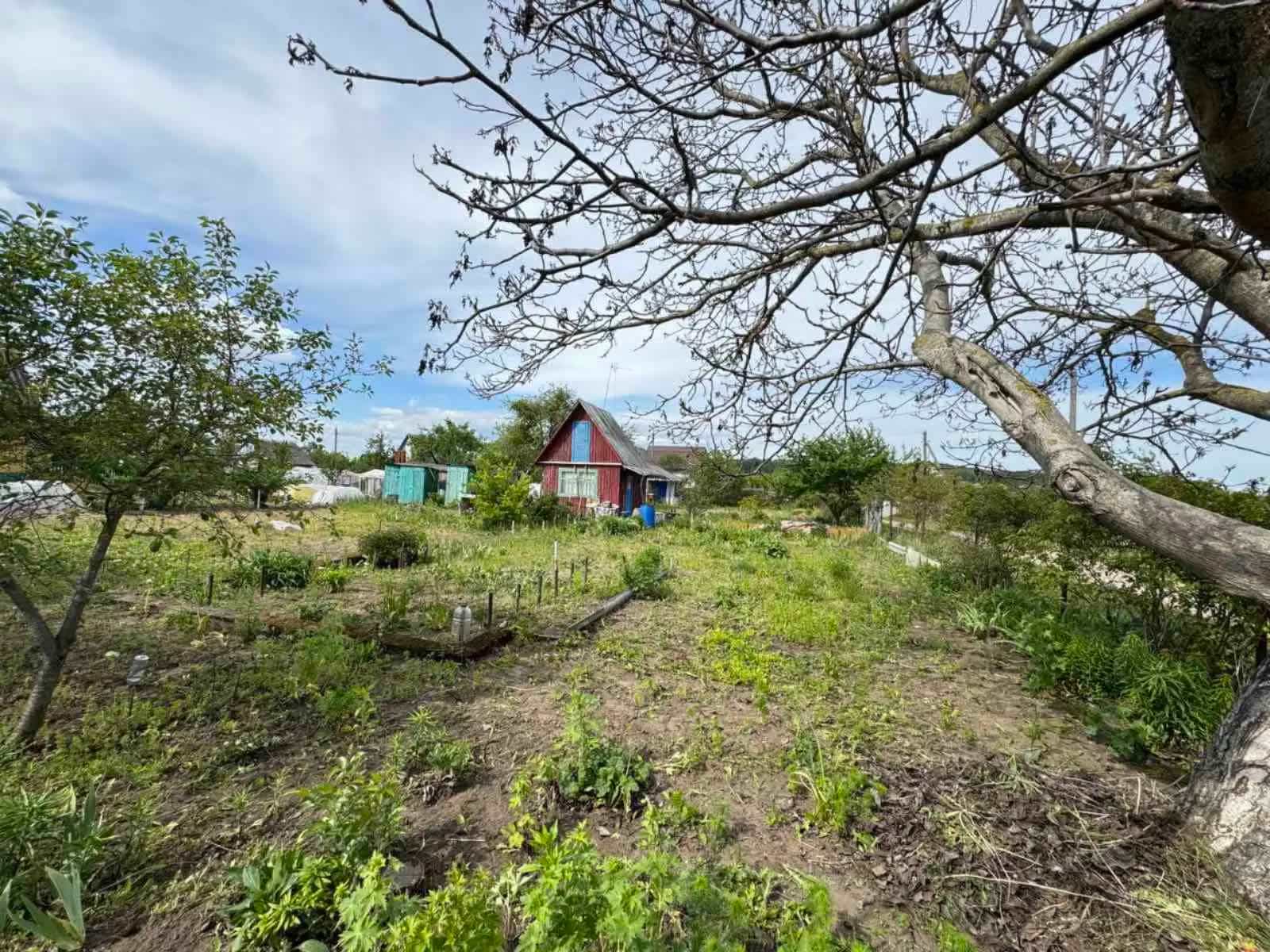 Беларусь, Гродненский район, Коптёвский сельсовет, СТ Крыжачок, 7, фото 3