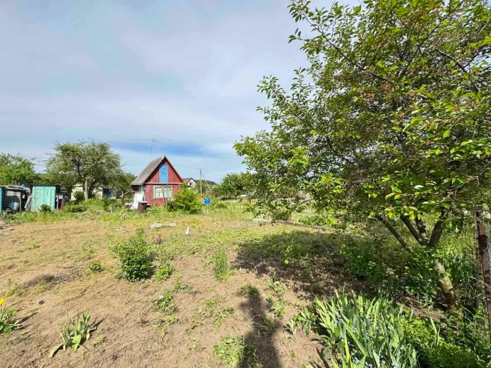 Беларусь, Гродненский район, Коптёвский сельсовет, СТ Крыжачок, 7, фото 4