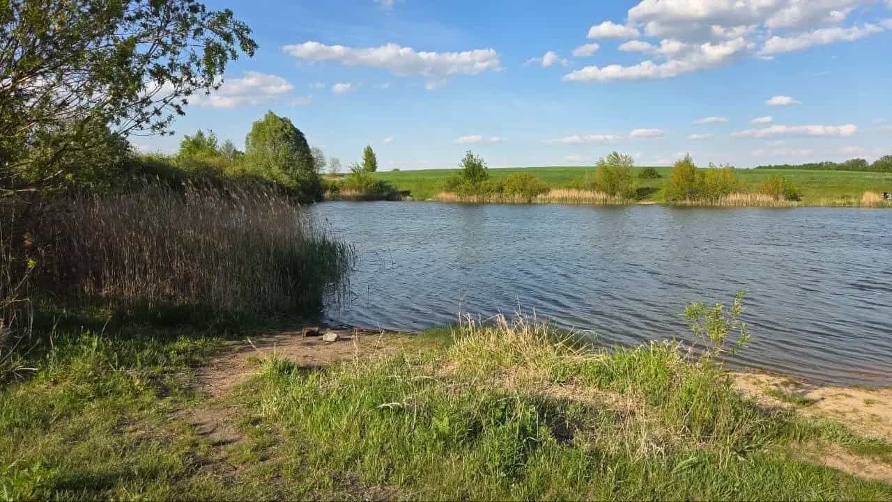 Беларусь, Минская область, Смолевичский район, Плисский сельсовет, деревня Лавля, 41, фото 10