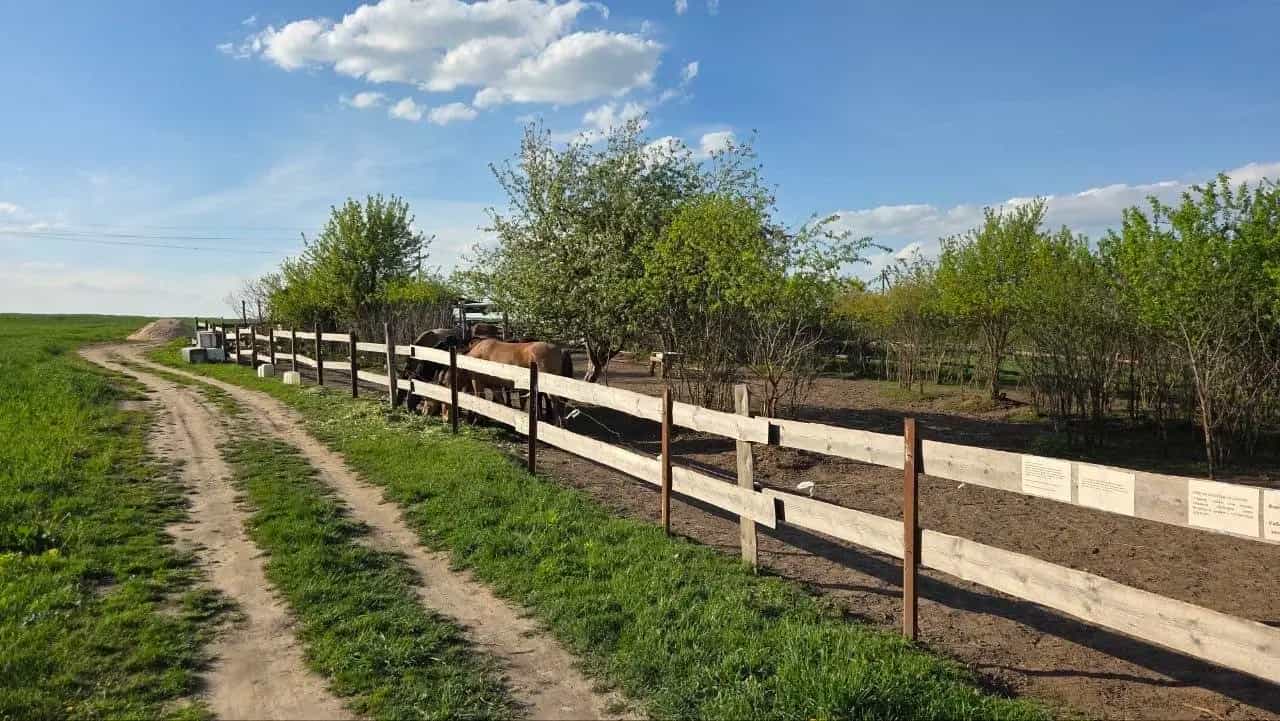 Беларусь, Минская область, Смолевичский район, Плисский сельсовет, деревня Лавля, 41, фото 11
