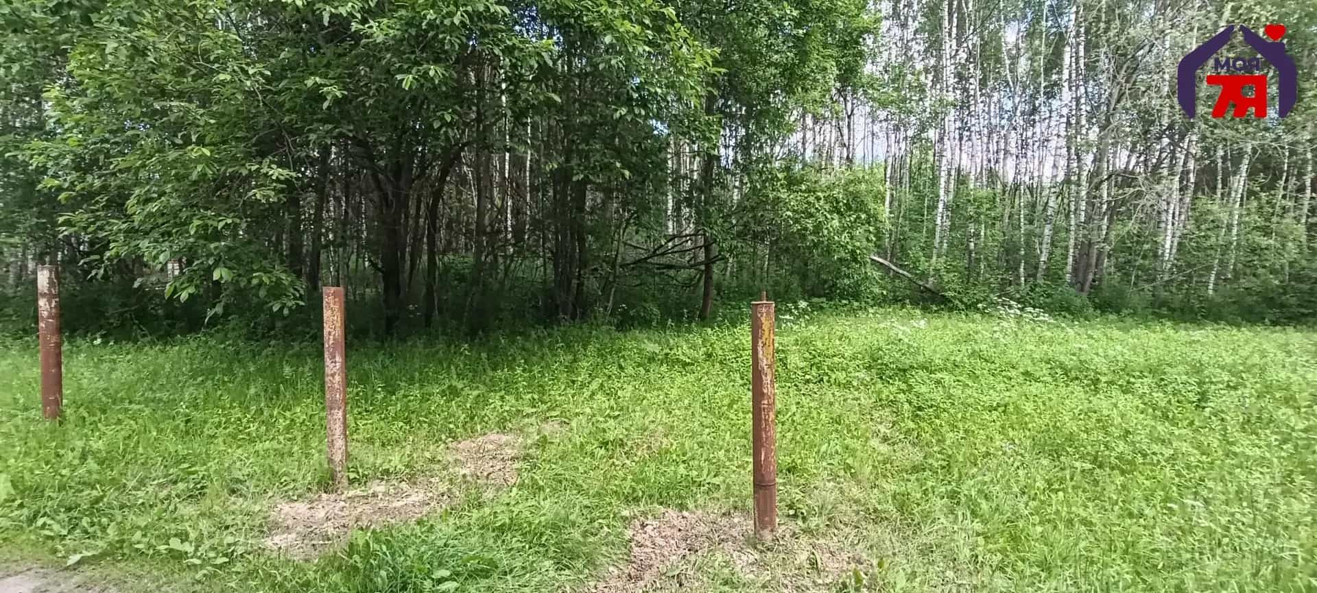 Беларусь, Минская область, Молодечненский район, Олехновичский сельсовет, агрогородок Олехновичи, Молодёжная улица, 13, фото 7