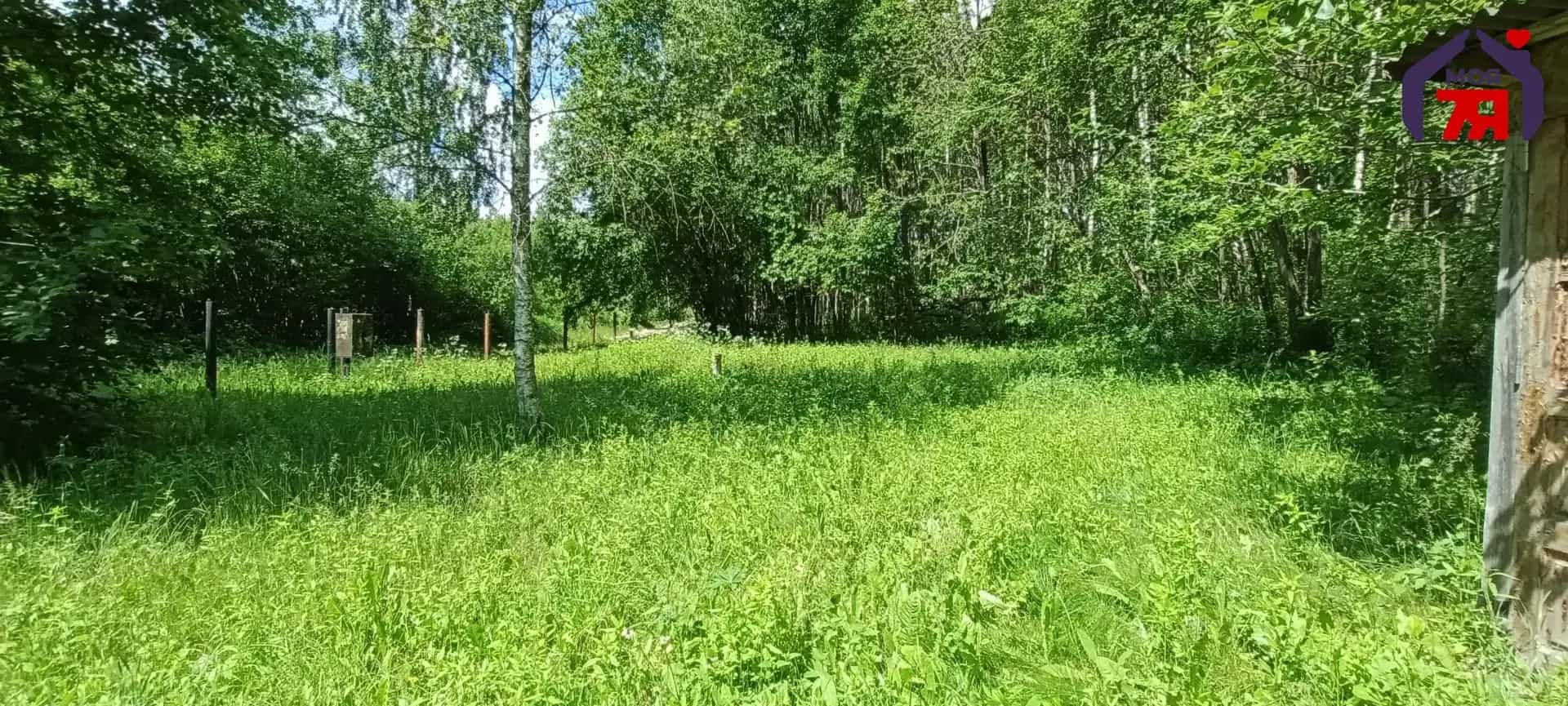 Беларусь, Минская область, Молодечненский район, Олехновичский сельсовет, агрогородок Олехновичи, Молодёжная улица, 13, фото 17