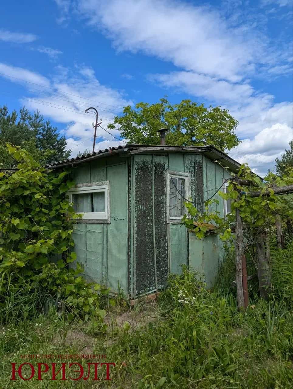 Беларусь, Гомельский район, Грабовский сельсовет, садоводческое товарищество Зелёный Луг-2, 248, фото 28