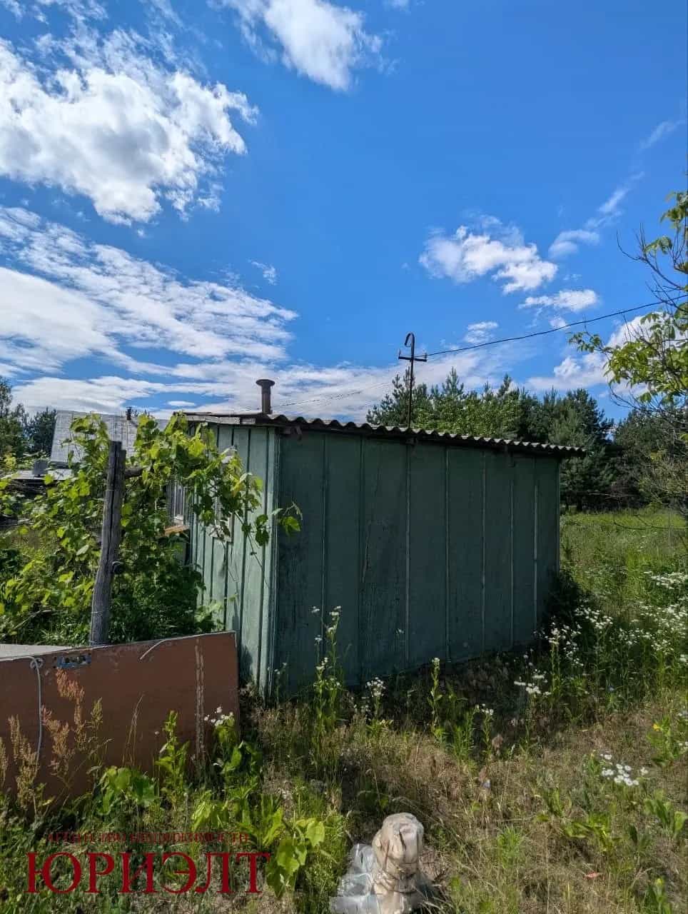 Беларусь, Гомельский район, Грабовский сельсовет, садоводческое товарищество Зелёный Луг-2, 248, фото 29