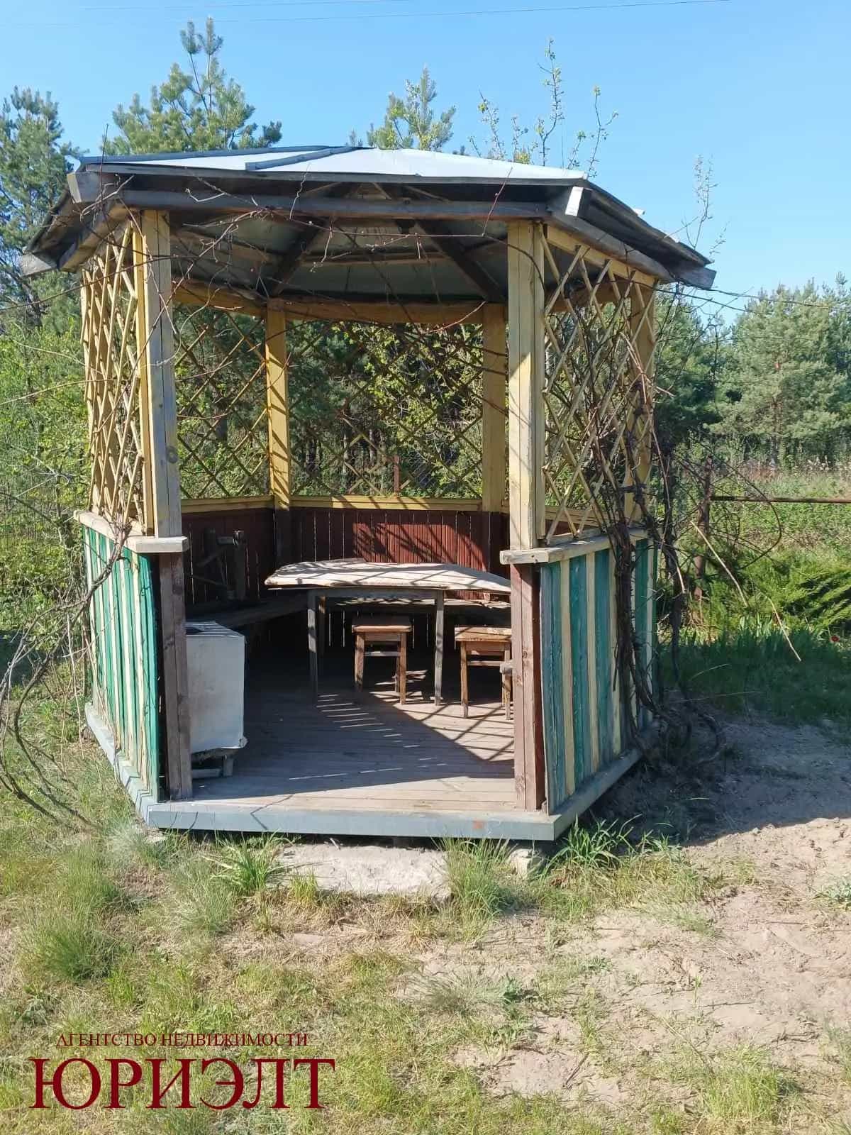 Беларусь, Гомельский район, Грабовский сельсовет, садоводческое товарищество Зелёный Луг-2, 248, фото 33