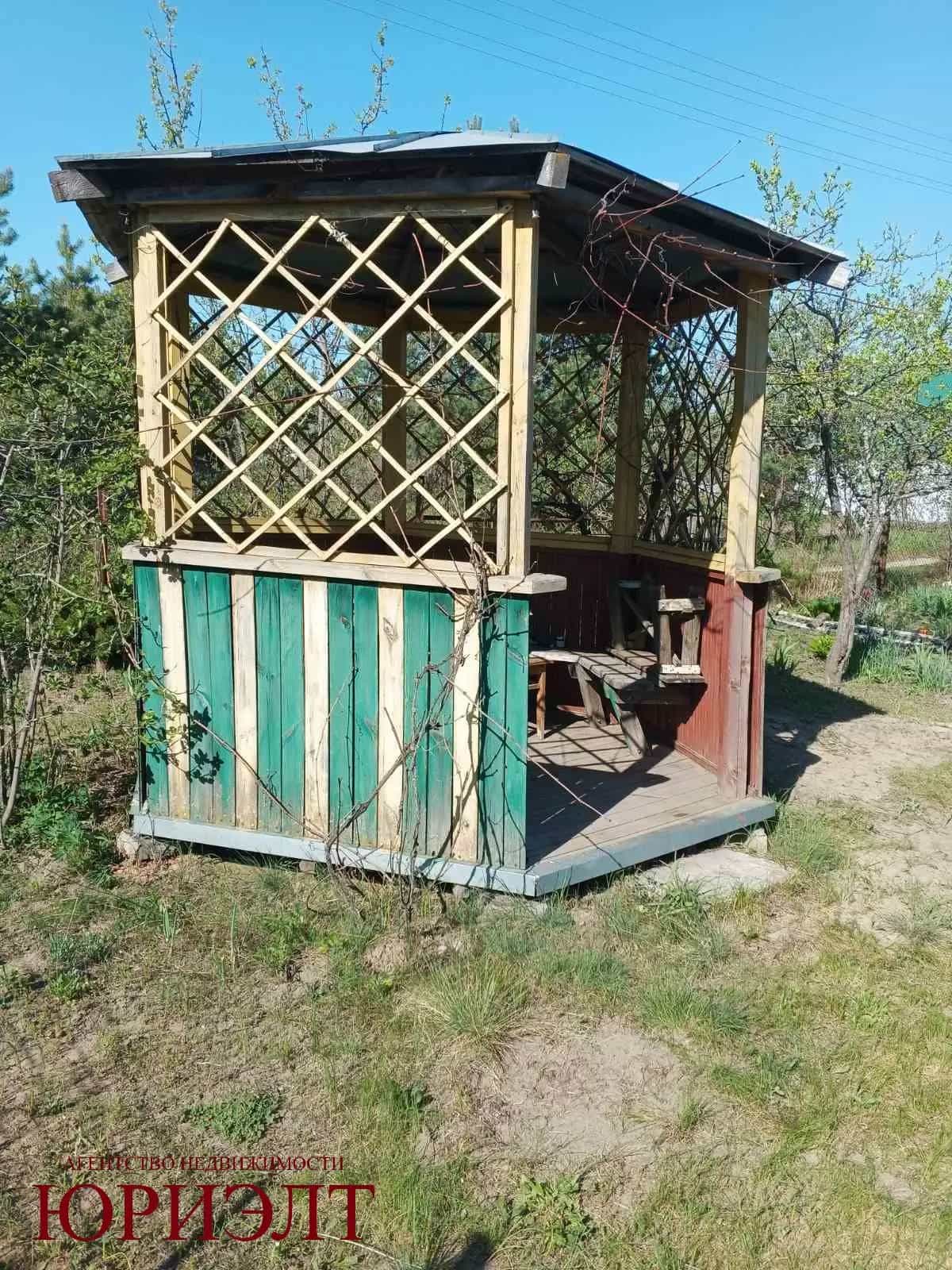 Беларусь, Гомельский район, Грабовский сельсовет, садоводческое товарищество Зелёный Луг-2, 248, фото 34