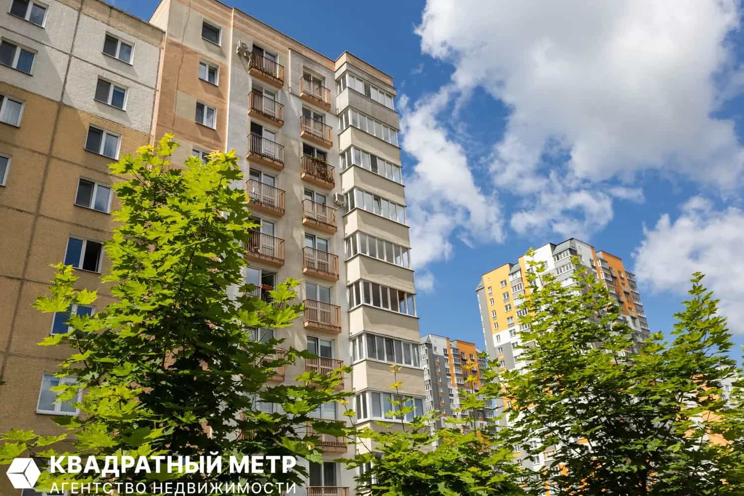 Беларусь, Минский район, Боровлянский сельсовет, деревня Копище, улица Лопатина, 1, фото 22