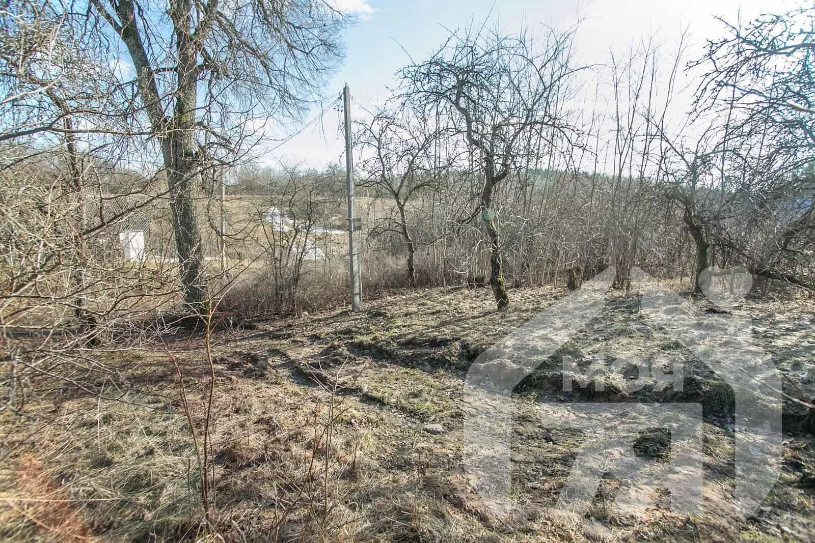 Беларусь, Минская область, Молодечненский район, Городокский сельсовет, деревня Выдричи, 7, фото 4