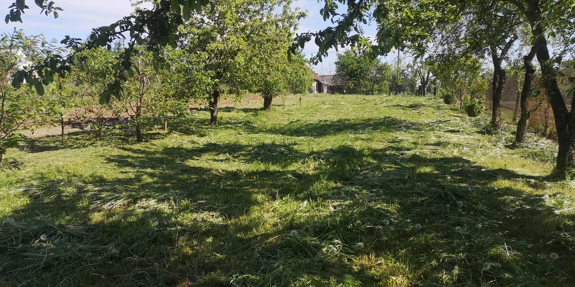 Беларусь, Гродненская область, Кореличский район, Красненский сельсовет, деревня Заполье, улица Былича, 93, фото 5