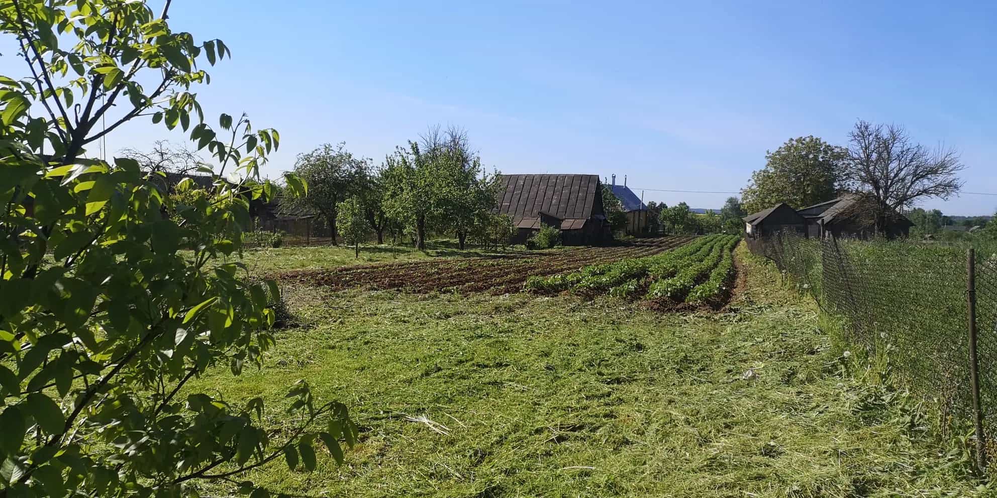 Беларусь, Гродненская область, Кореличский район, Красненский сельсовет, деревня Заполье, улица Былича, 93, фото 6