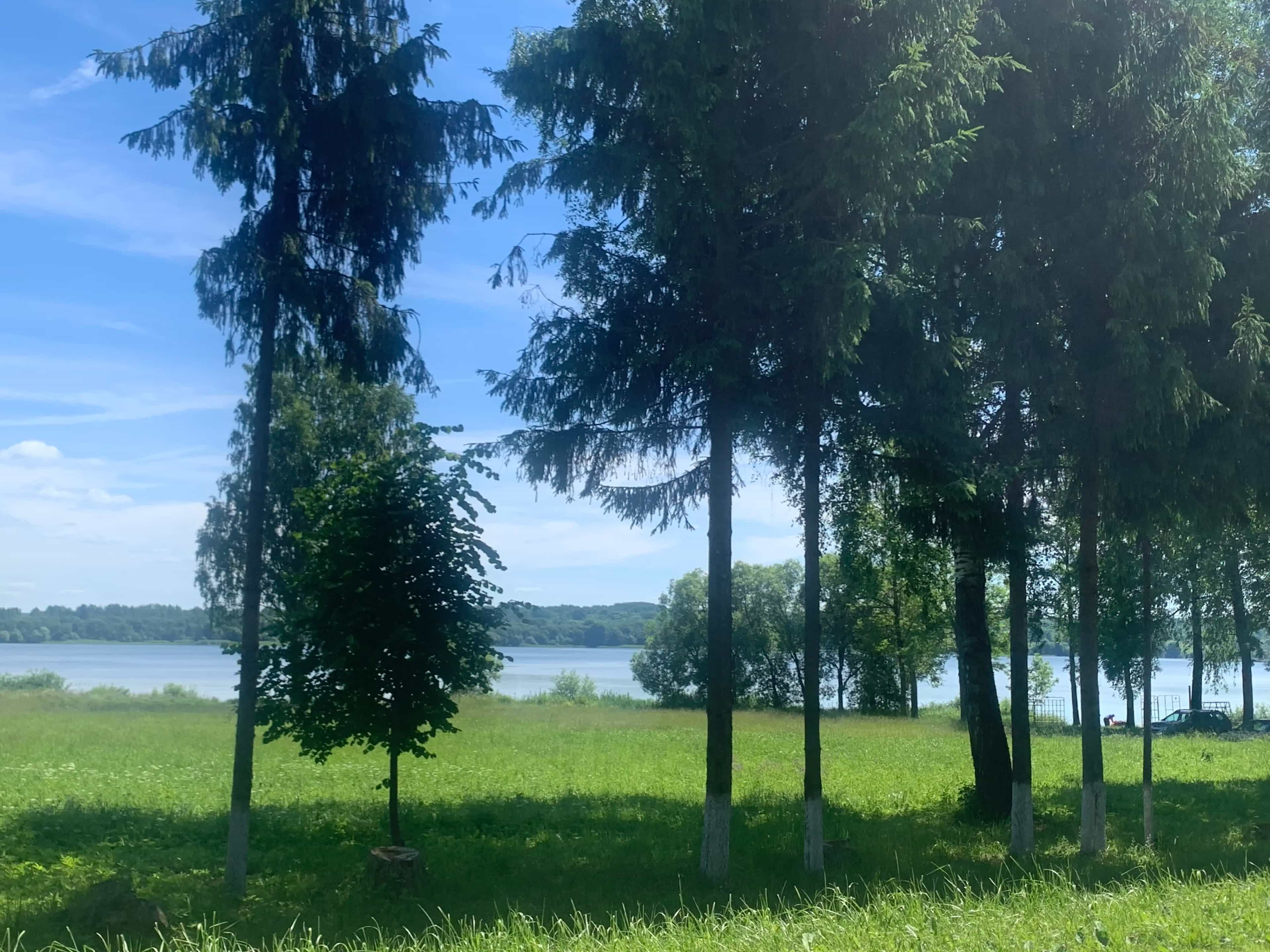 Беларусь, Витебский район, Вымнянский сельсовет, агрогородок Вымно, Витебская улица, 9, фото 19