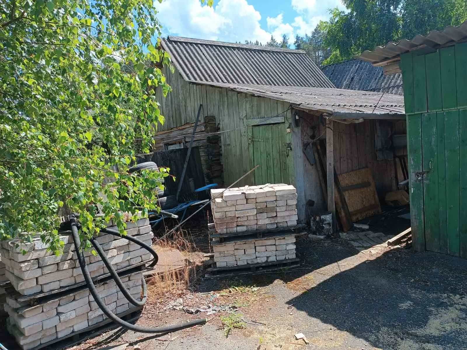 Беларусь, Витебская область, Лиозненский район, Добромыслинский сельсовет, агрогородок Добромысли, Школьная улица, 7, фото 12