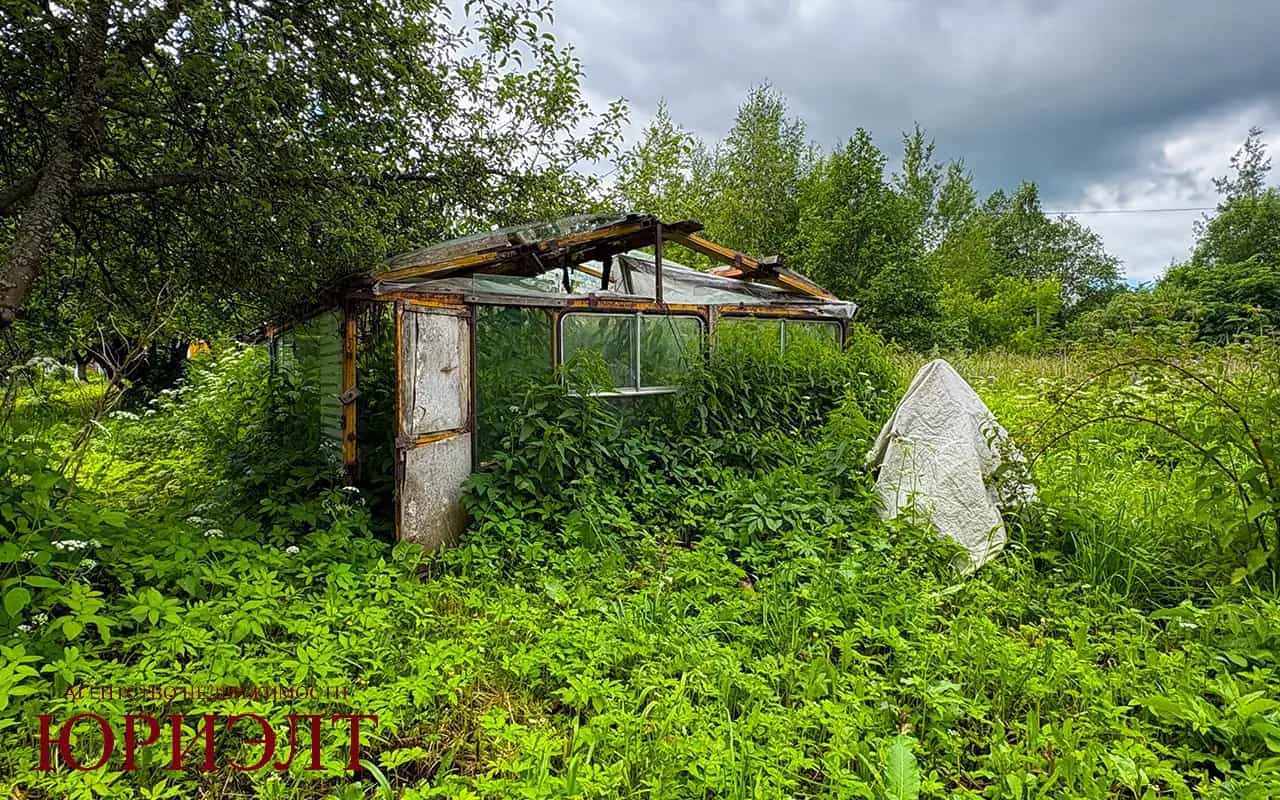 Беларусь, Витебская область, городской посёлок Лиозно, улица Черняховского, 4, фото 30