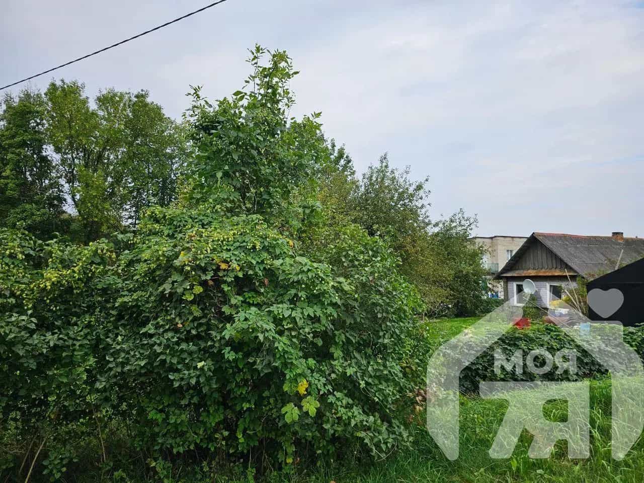Беларусь, Минская область, Вилейка, улица Лавриновича, 53, фото 5
