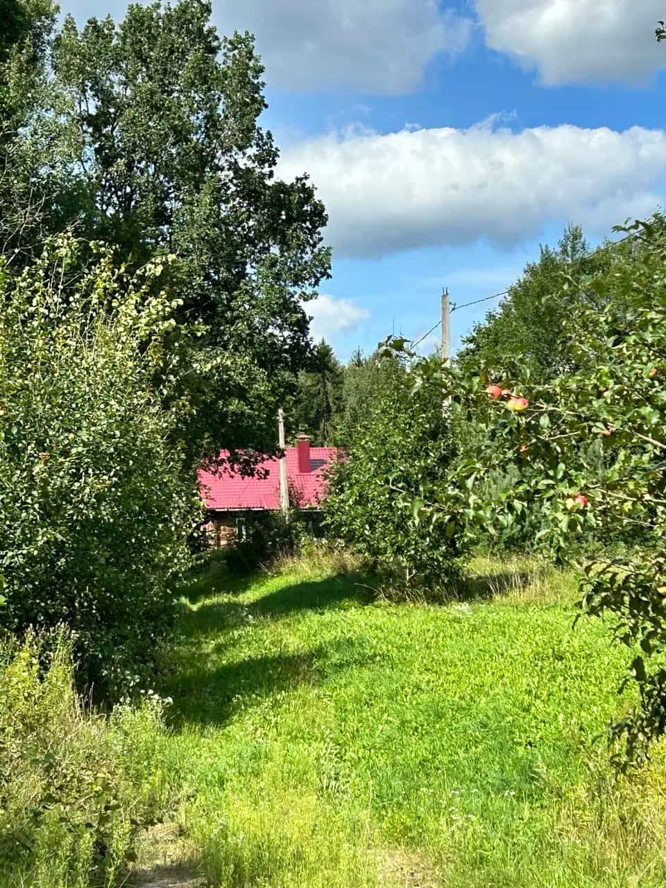 Беларусь, Гродненская область, Сморгонский район, агрогородок Вишнево, Школьная улица, 10, фото 5