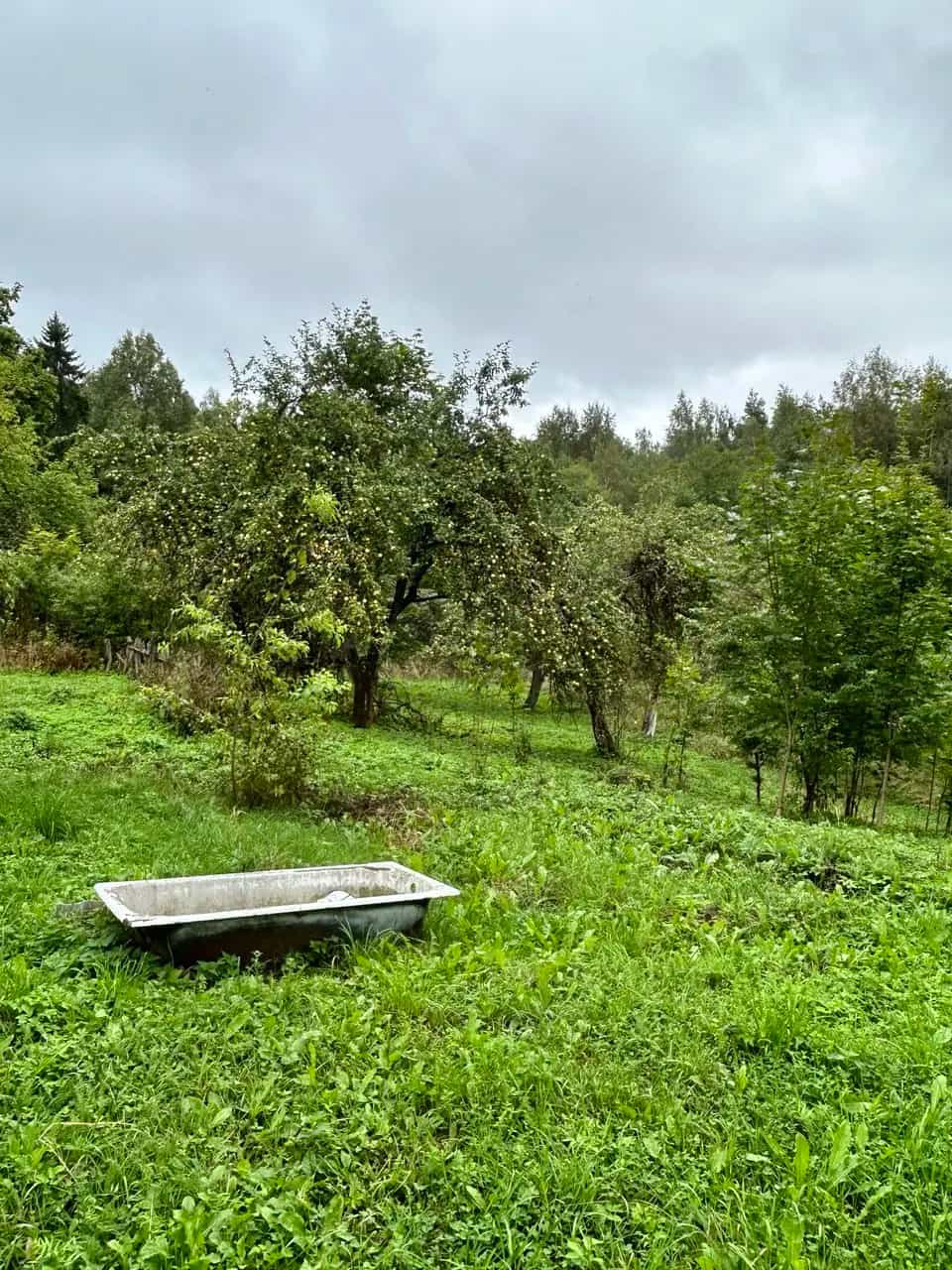 Беларусь, Гродненская область, Сморгонский район, агрогородок Вишнево, Школьная улица, 10, фото 14