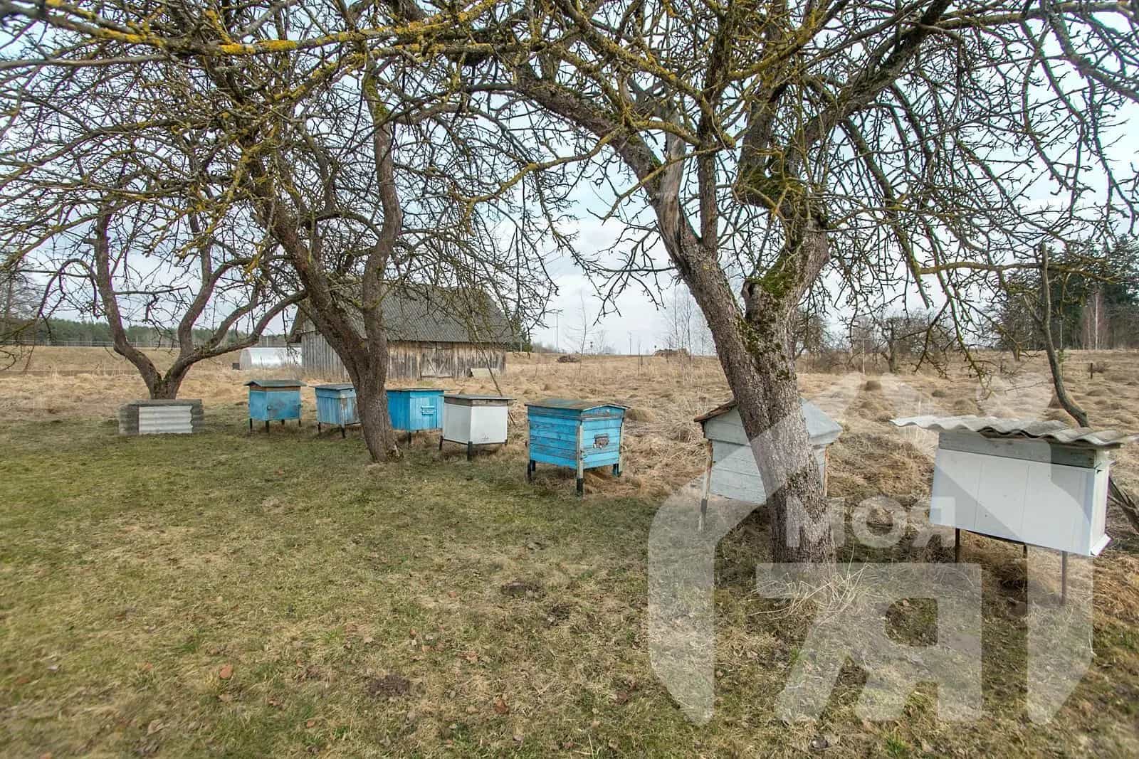 Беларусь, Минская область, Воложинский район, Вишневский сельсовет, деревня Лавский Брод, 32, фото 7