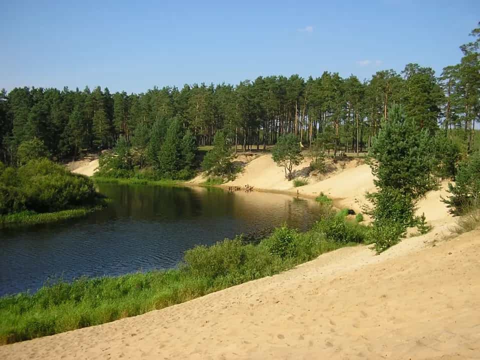 Беларусь, Минская область, Борисовский район, Пригородный сельсовет, деревня Малое Стахово, улица Лебедева, 24, фото 18