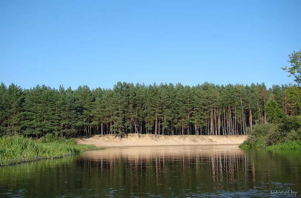 Беларусь, Минская область, Борисовский район, Пригородный сельсовет, деревня Малое Стахово, улица Лебедева, 24, фото 19