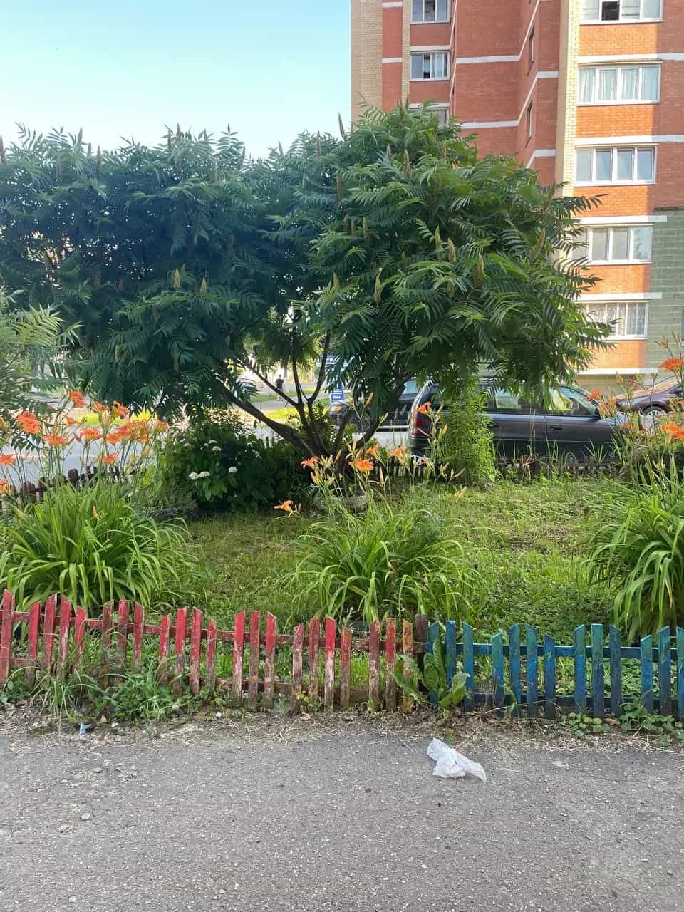 Беларусь, Витебск, улица Герцена, 17, фото 22