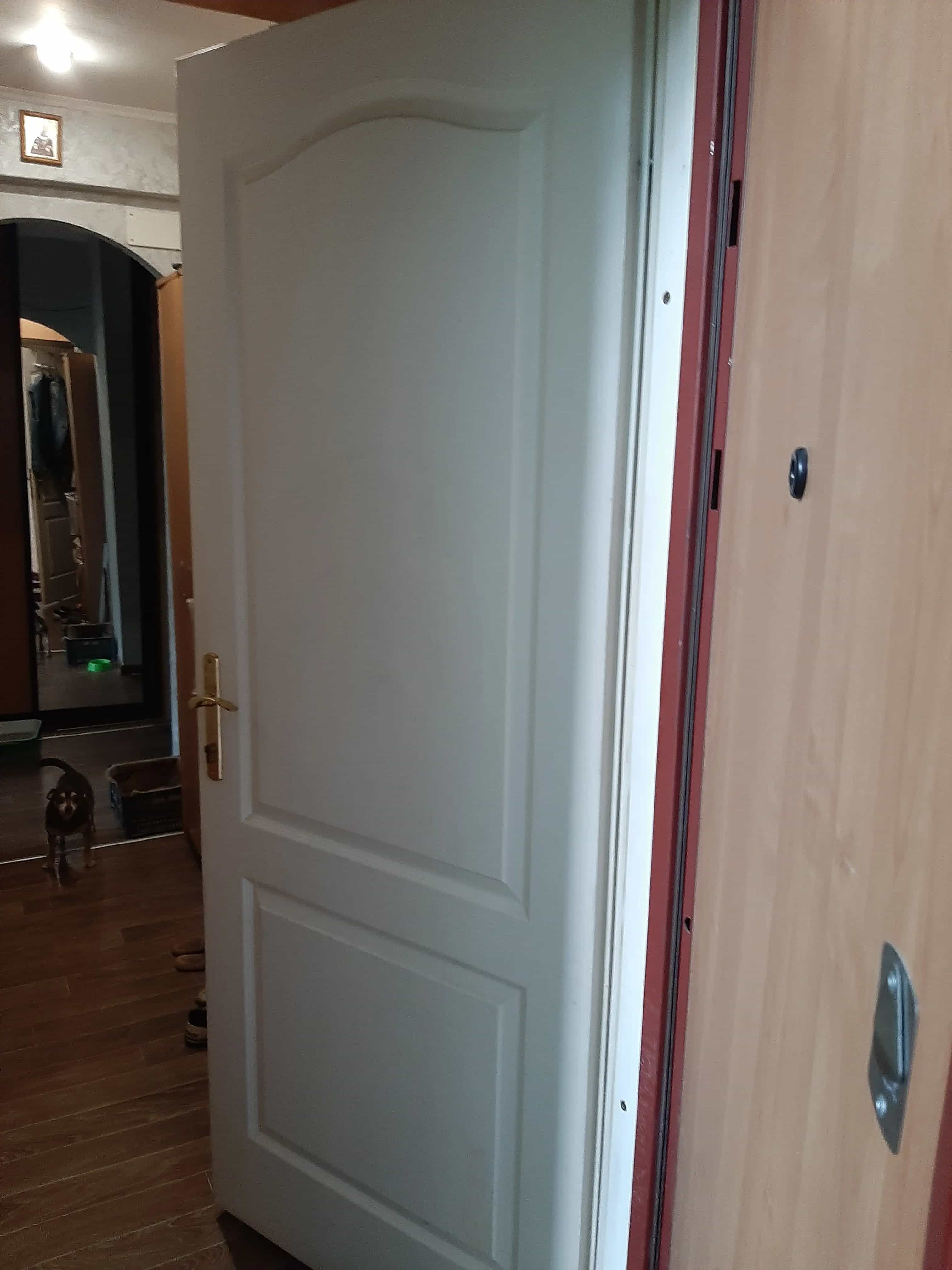 Беларусь, Витебск, улица Чкалова, 9к8, фото 20